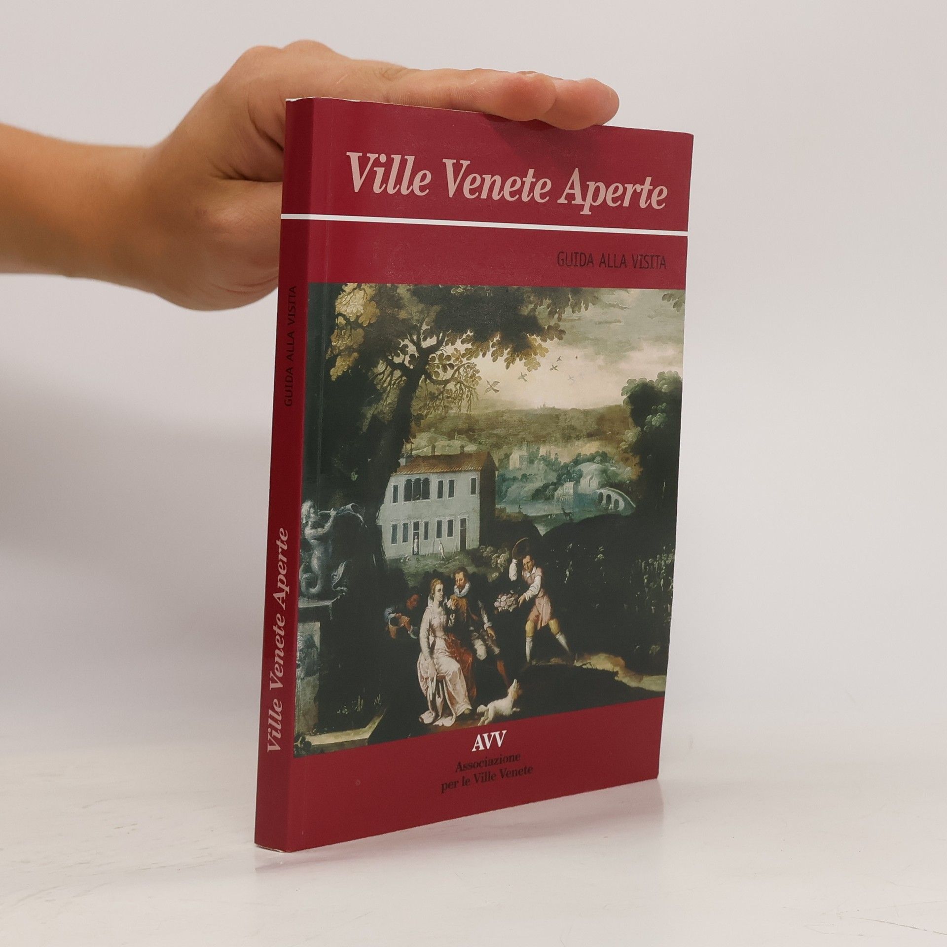 AA.VV. Ville venete aperte