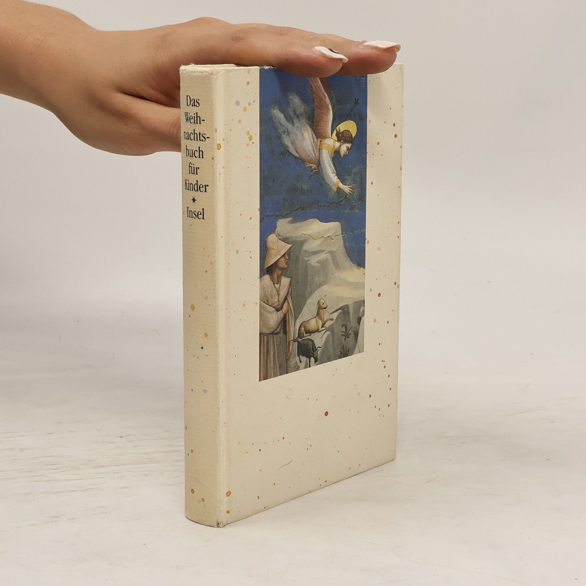 Elisabeth Borchers Das Weihnachtsbuch für Kinder. Mit Geschichten, Gedichten und Bildern