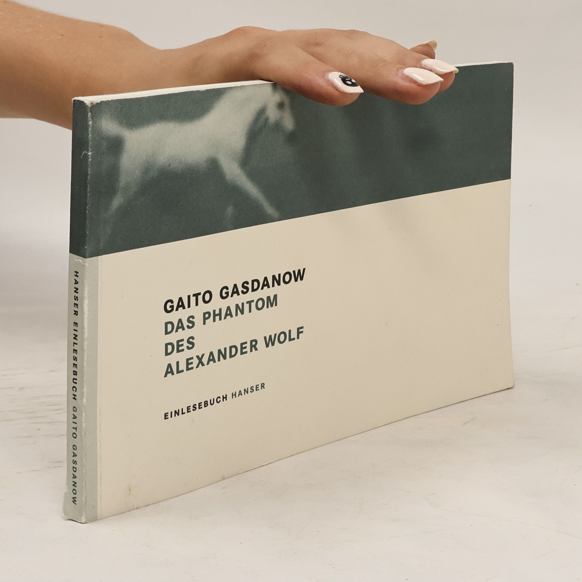Gaito Gazdanov Das Phantom des Alexander Wolf