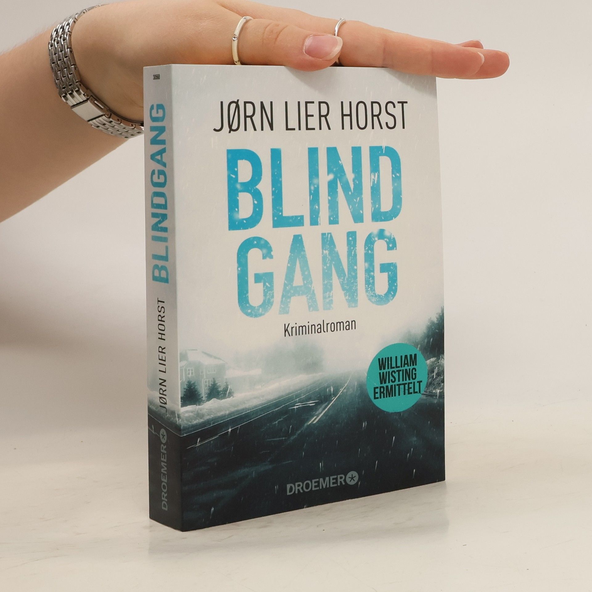 Jorn Lier Horst Blindgang