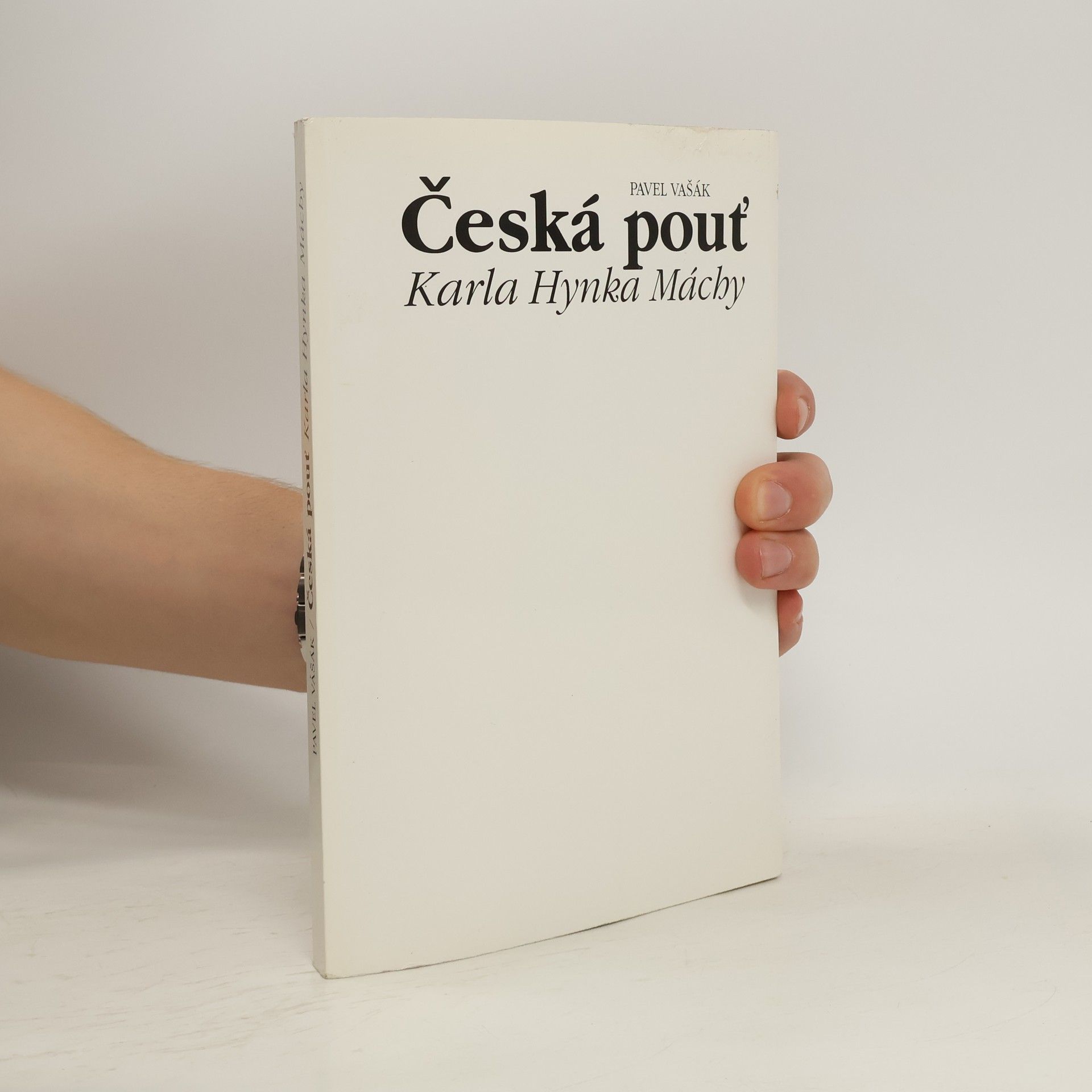 Pavel Vašák Česká pouť Karla Hynka Máchy