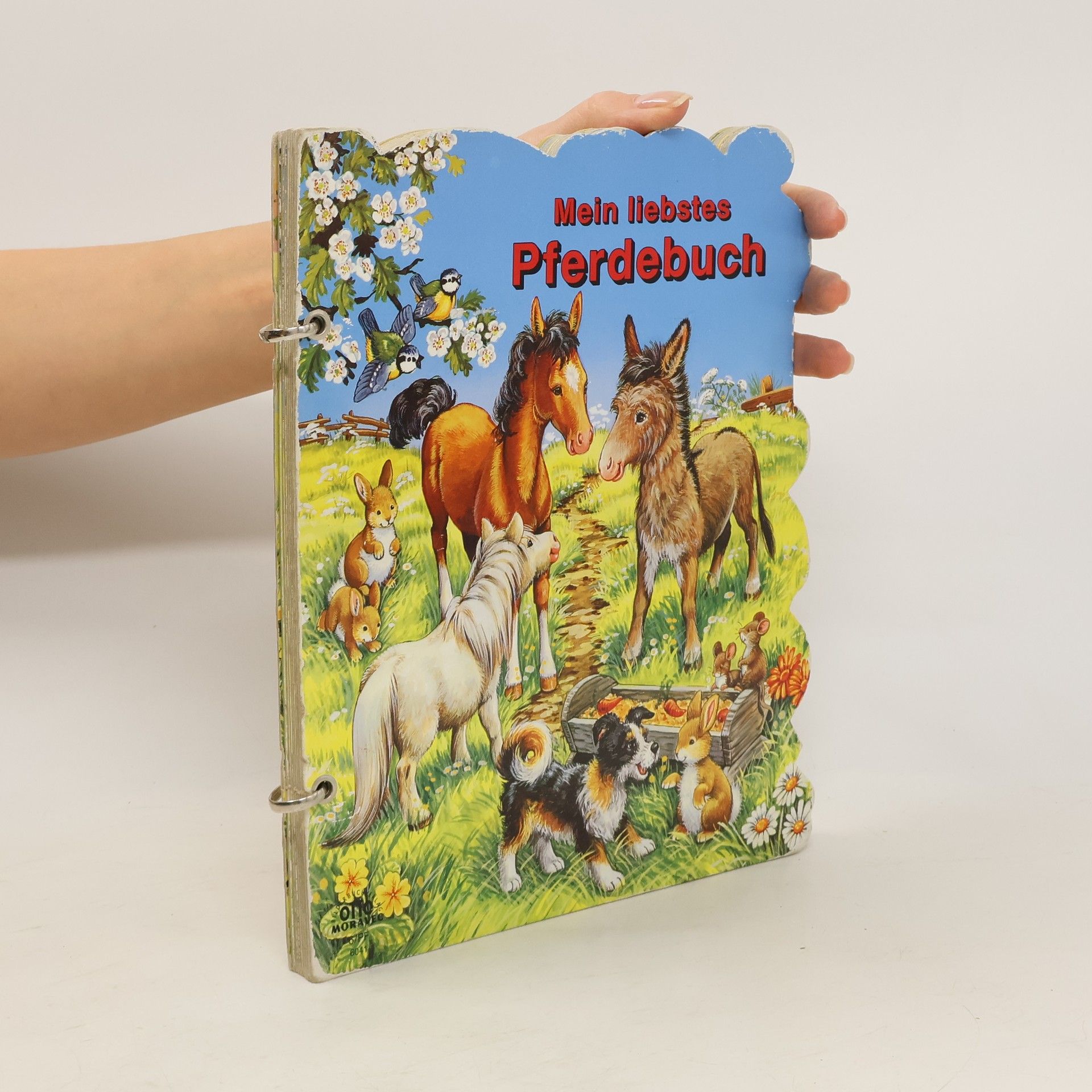 R. Schöler Mein liebstes Pferdebuch
