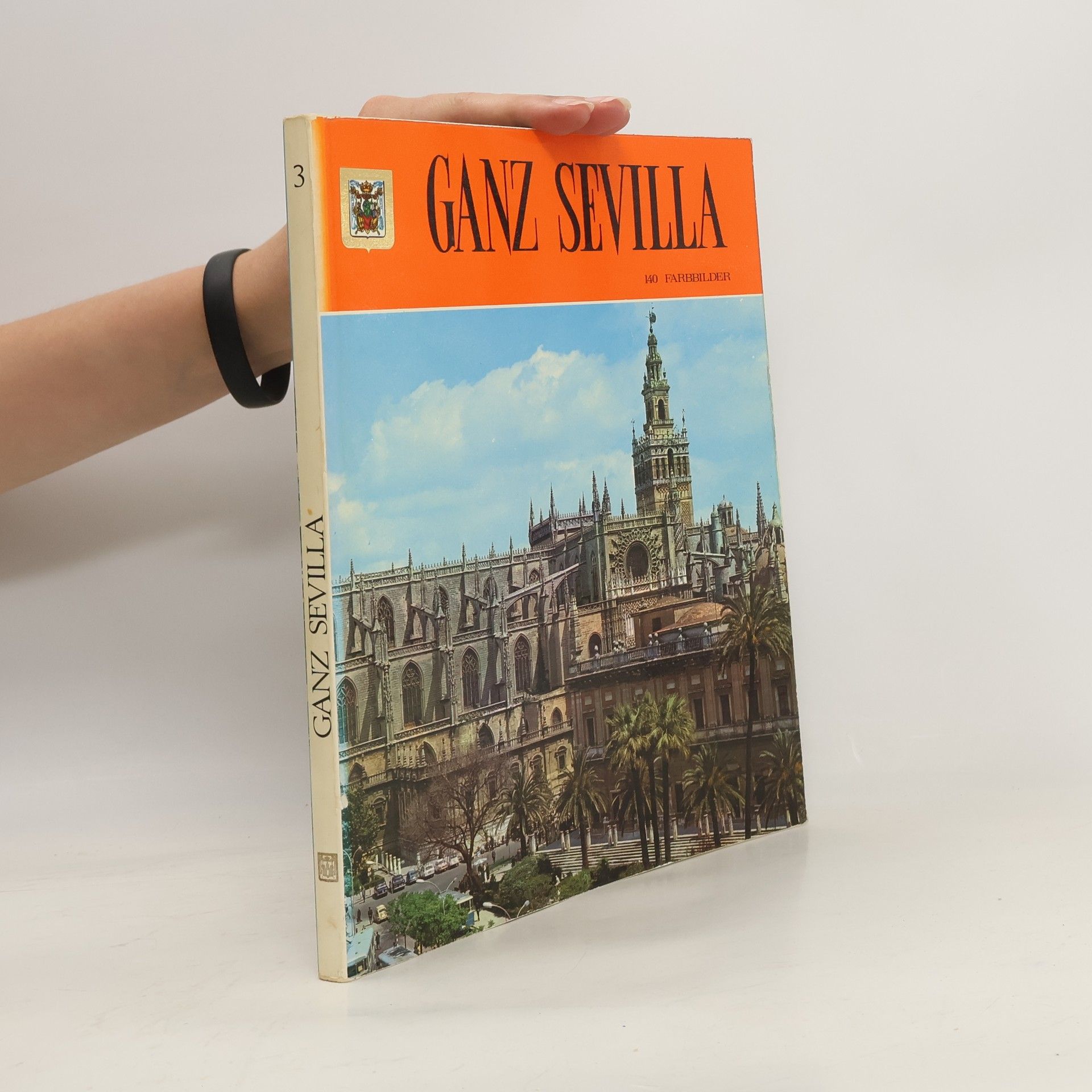 Kolektiv autorů Ganz Sevilla 3
