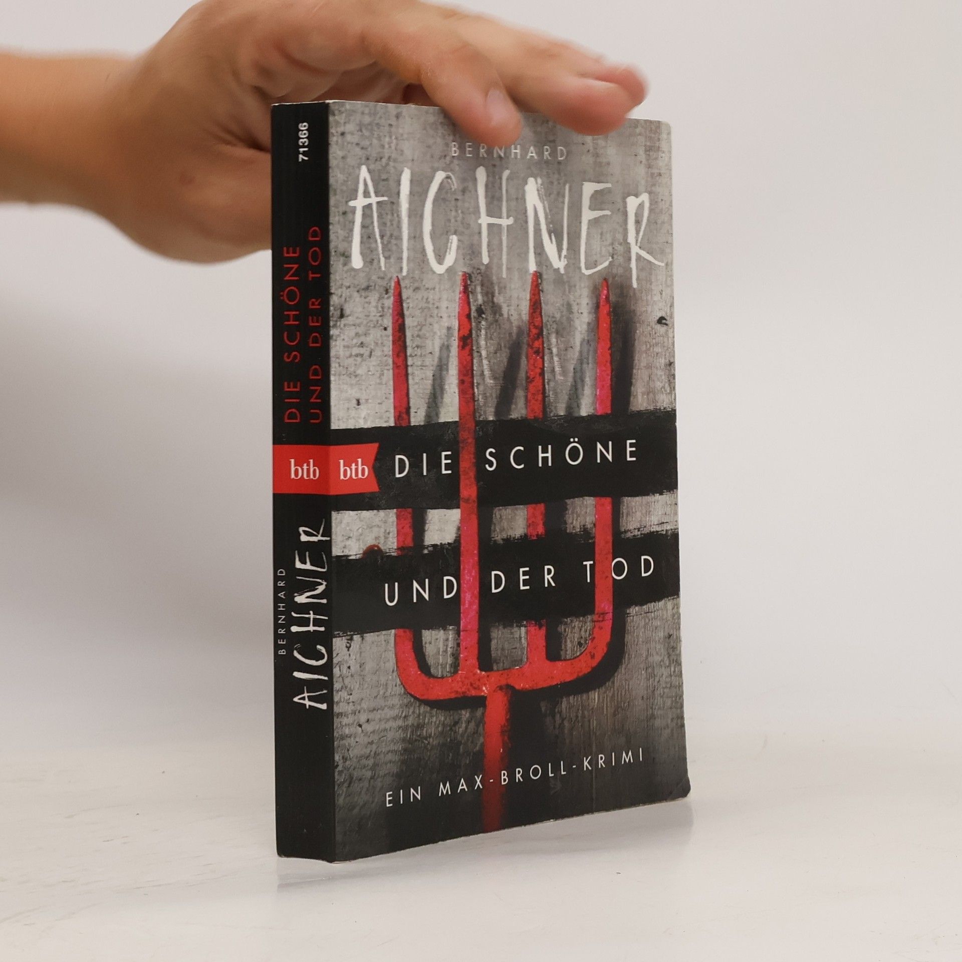 Bernhard Aichner Die Schöne und der Tod