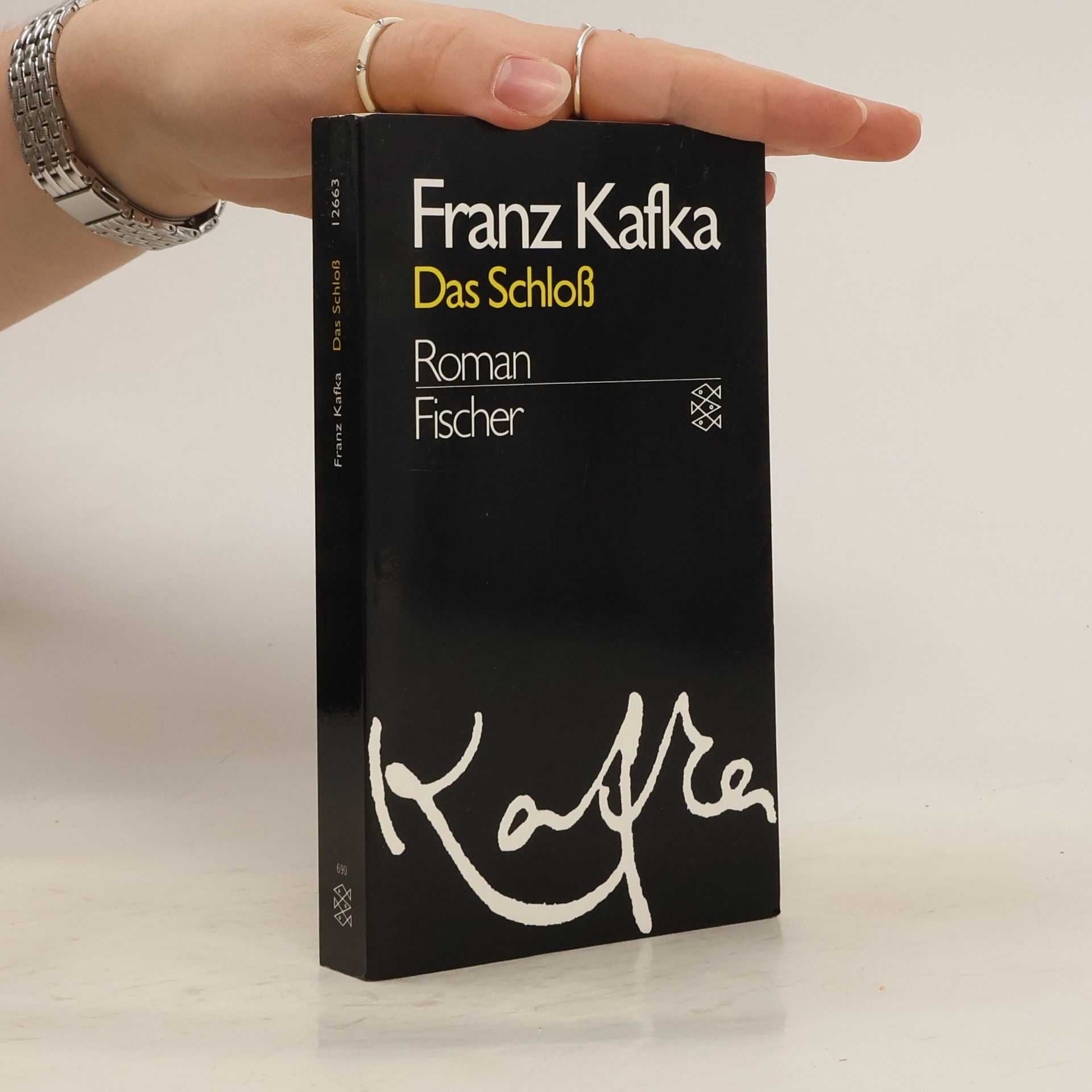 Franz Kafka Das Schloss : Roman