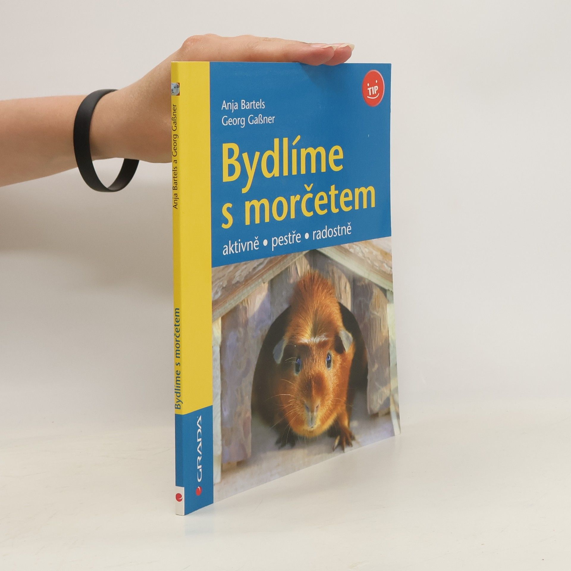 Anja Bartels Bydlíme s morčetem