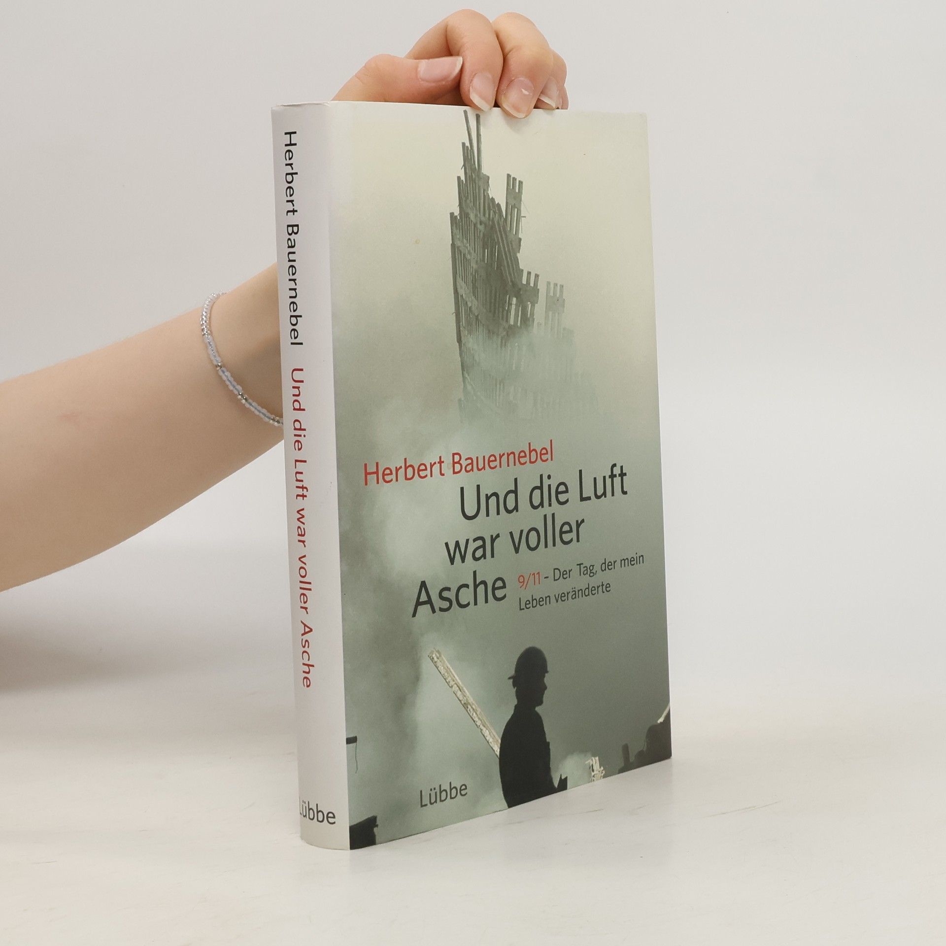 Herbert Bauernebel Und die Luft war voller Asche