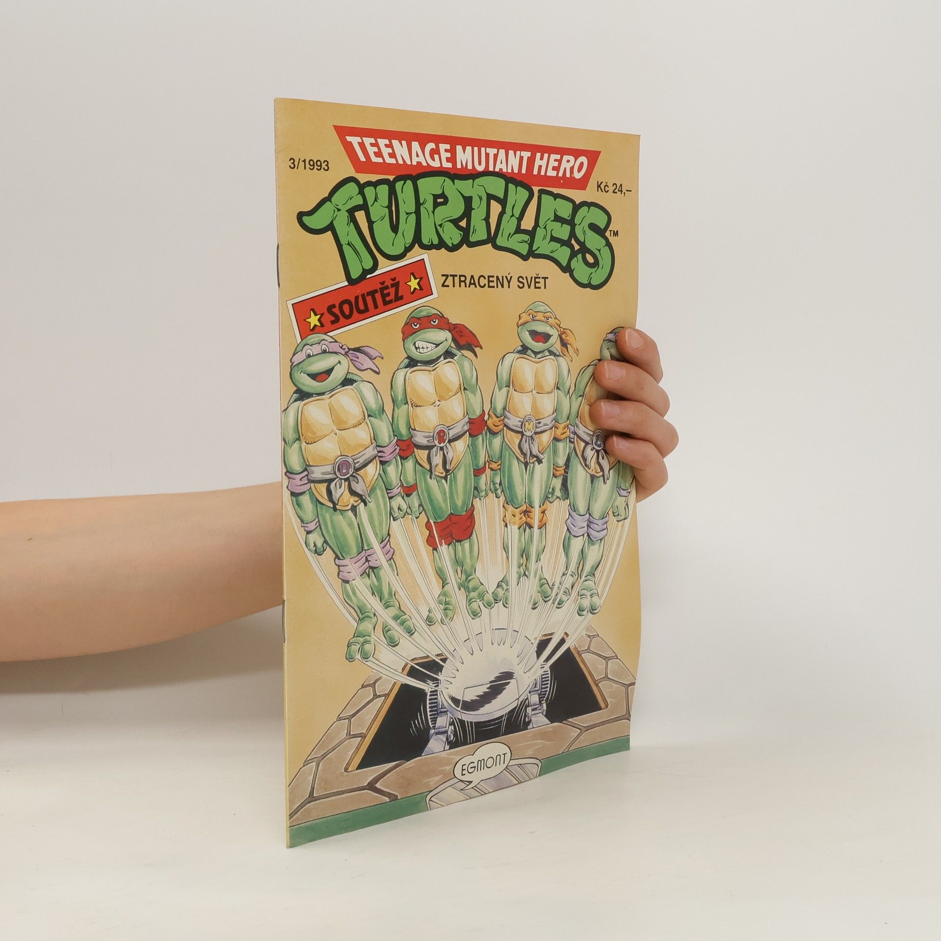 Kolektiv autorů Teenage Mutant Hero Turtles. Ztracený svět č. 3/1993