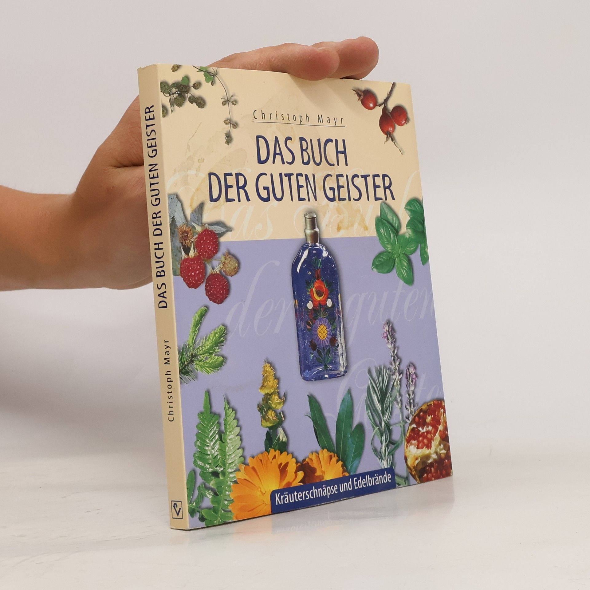 Christoph Mayr Das Buch der guten Geister