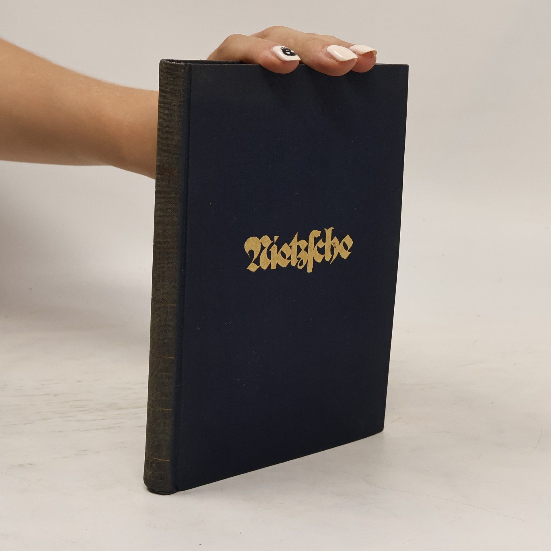 Theodor Kappstein Volks-Nietzsche