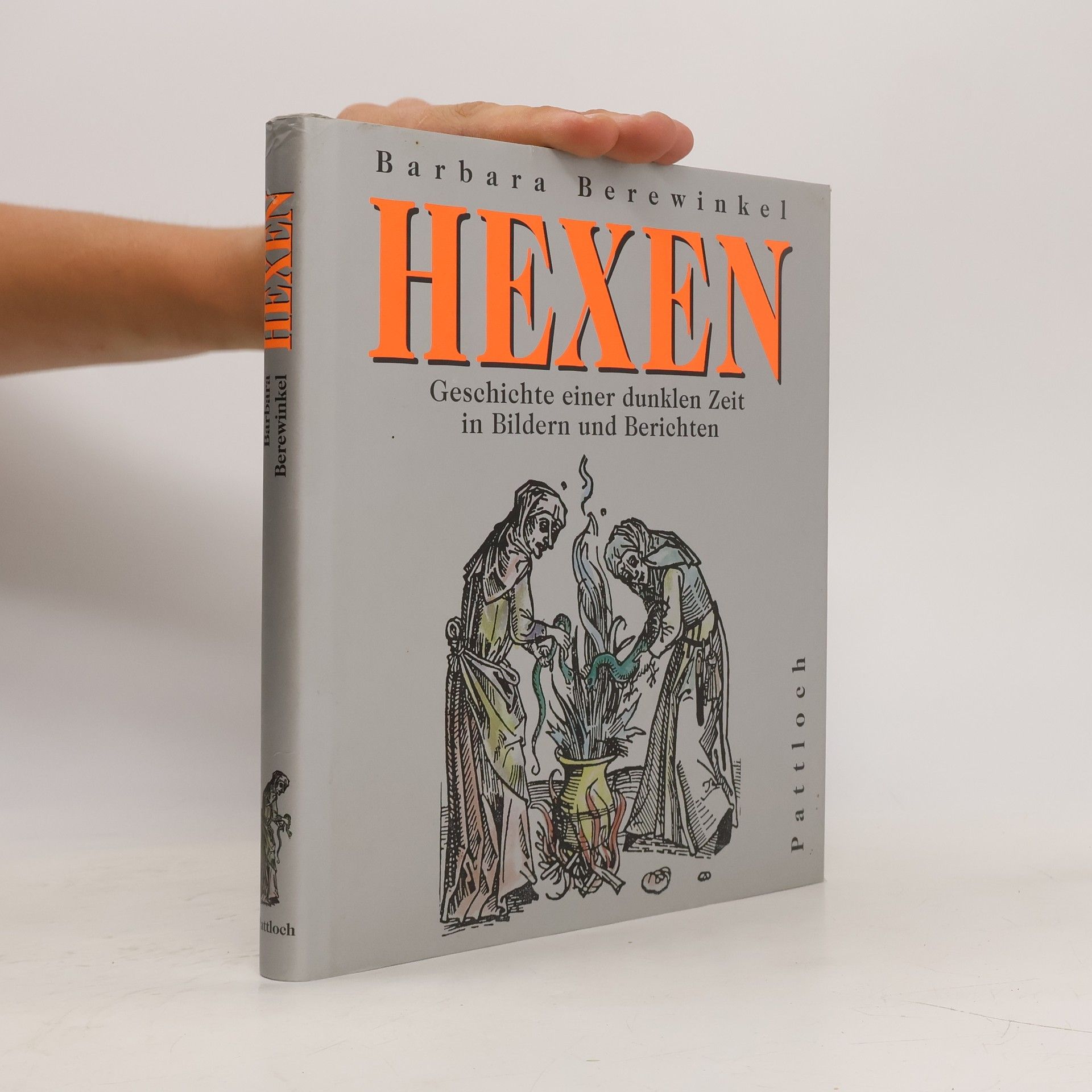 Barbara Berewinkel Hexen. Geschichte einer dunklen Zeit in Bildern und Berichten