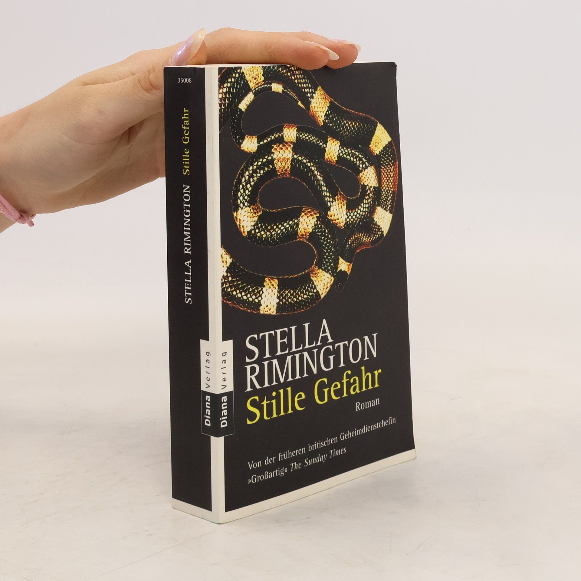 Stella Rimington Stille Gefahr