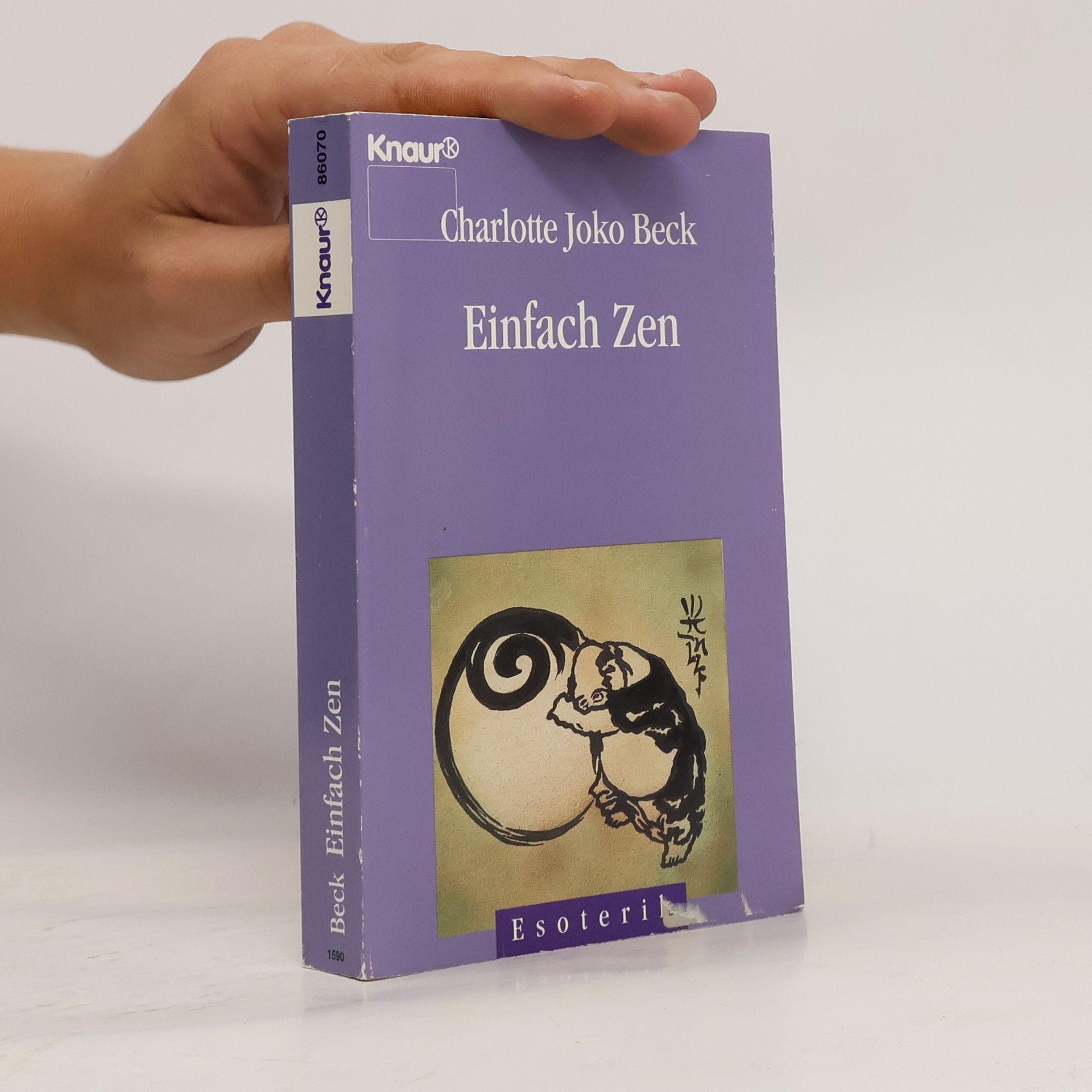 Charlotte Joko Beck Einfach Zen