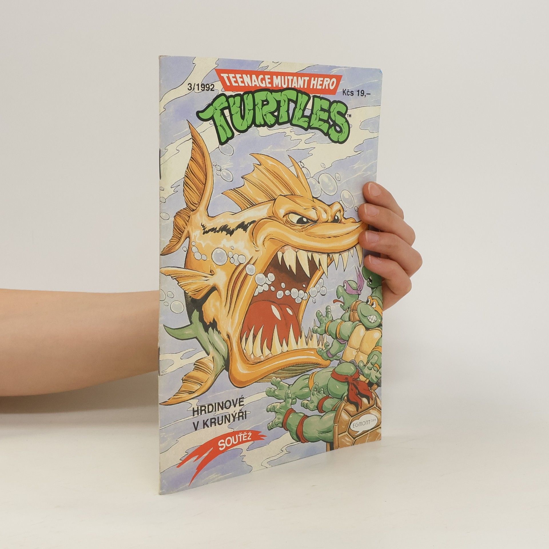 Michael Dooney Teenage Mutant Hero Turtles #03