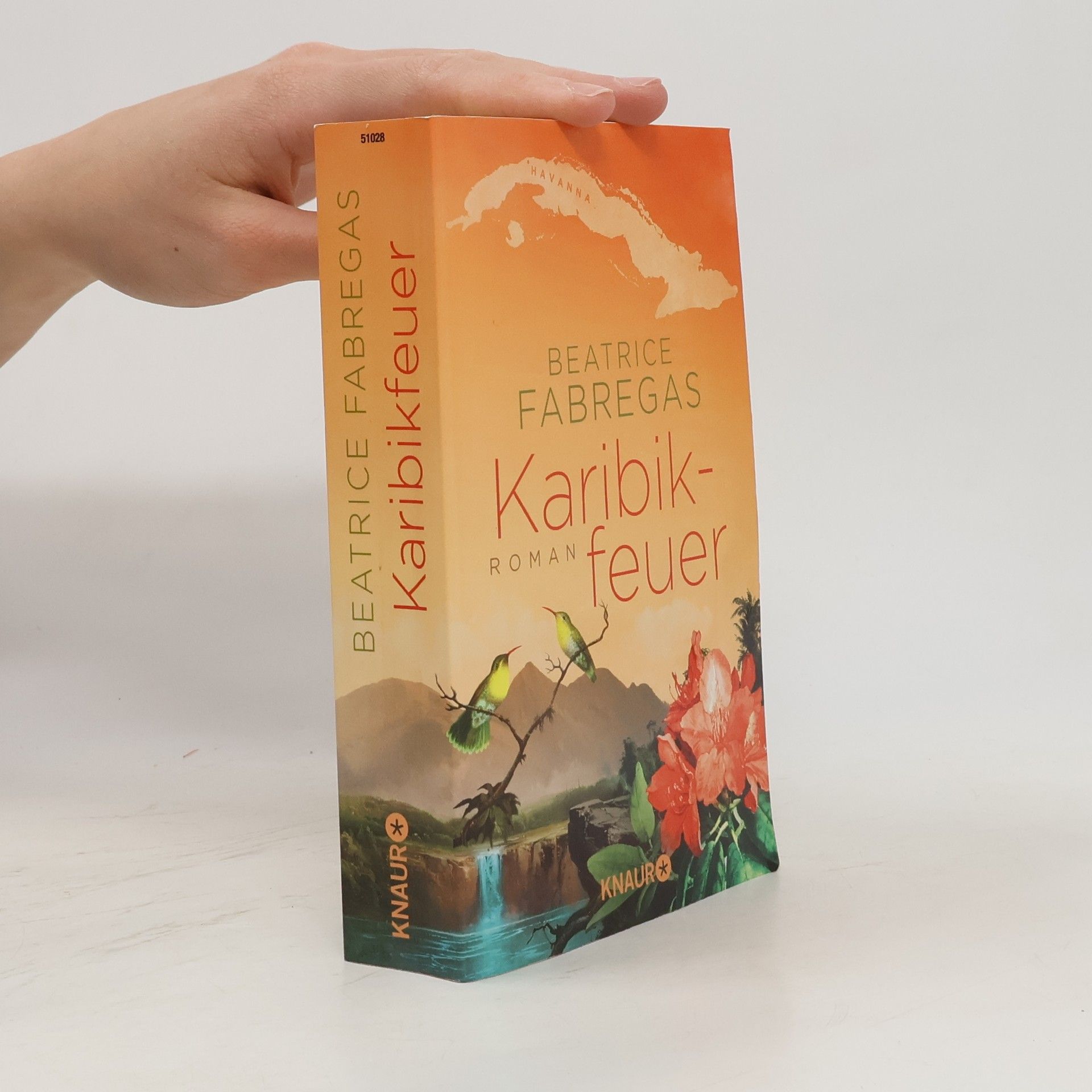 Beatrice Fabregas Karibikfeuer
