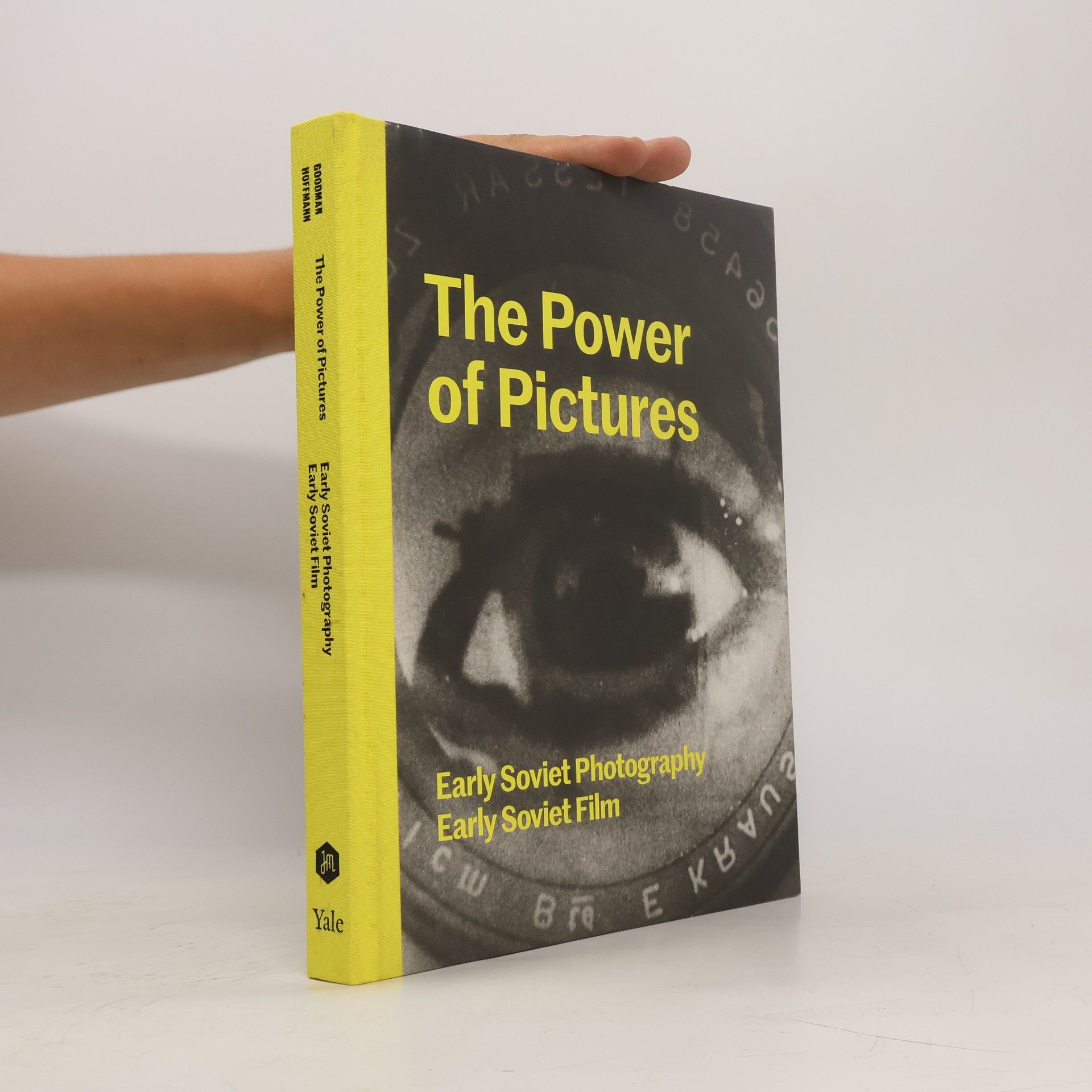 Goodman The Power of Pictures