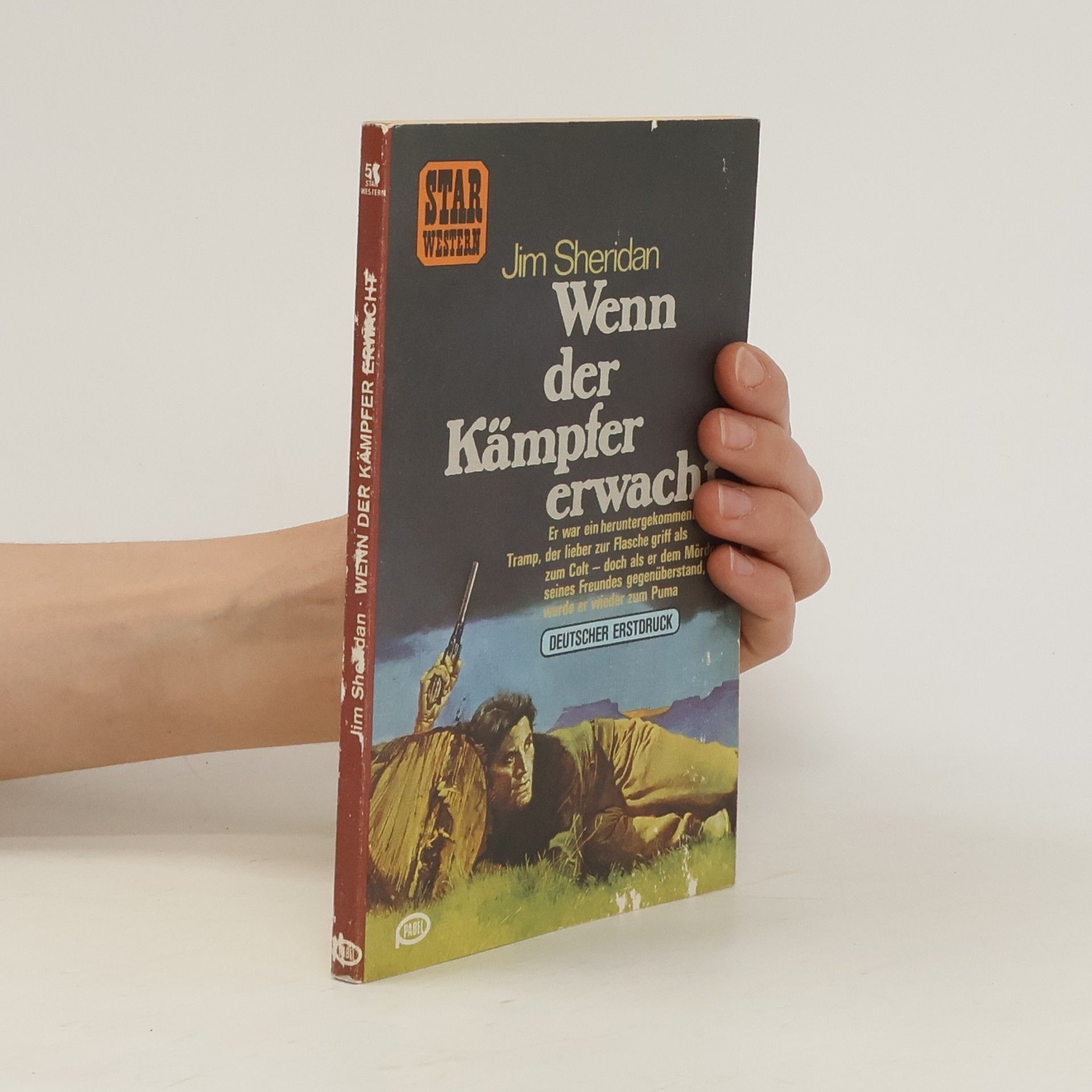Jim Sheridan Wenn der Kämpfer erwacht