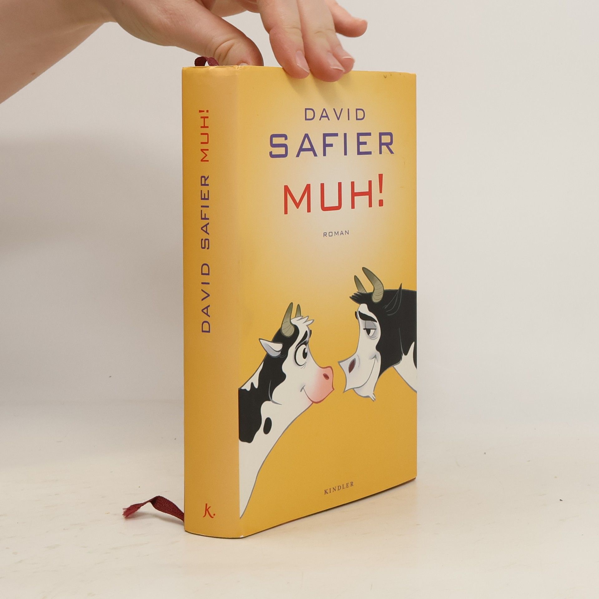 David Safier Muh!