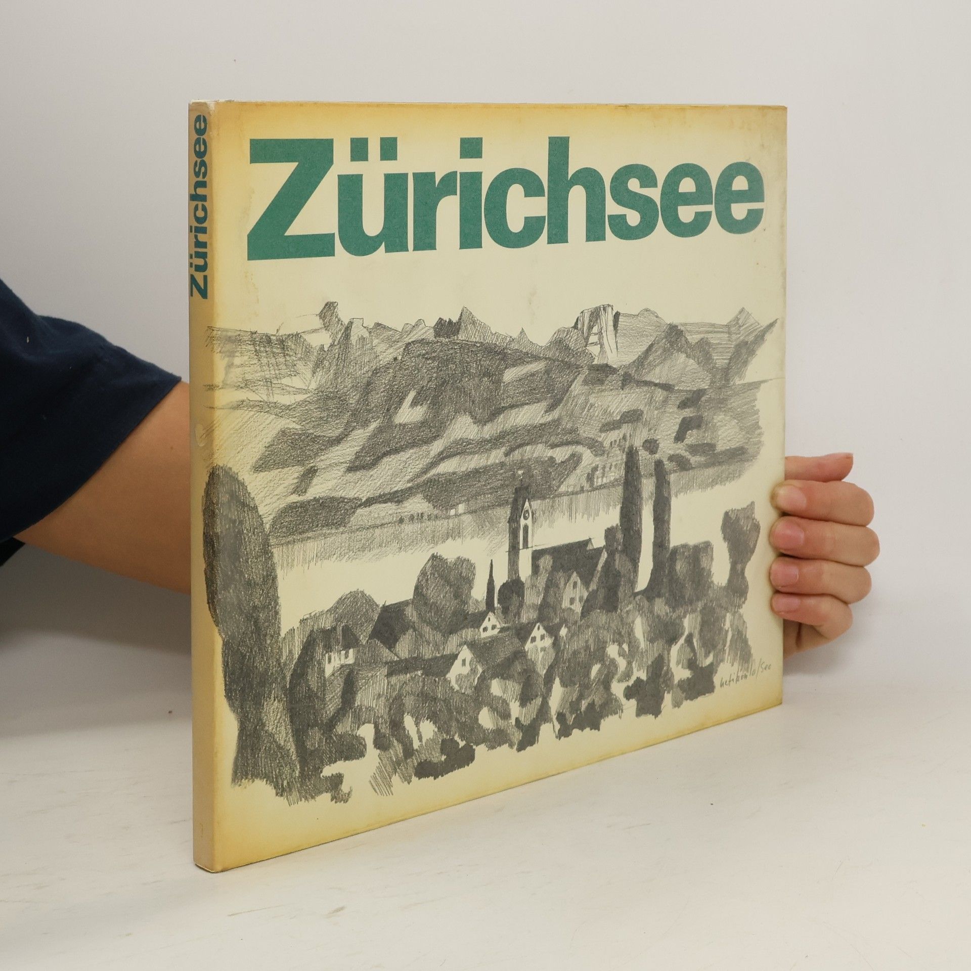 Jacques Schedler Zürichsee