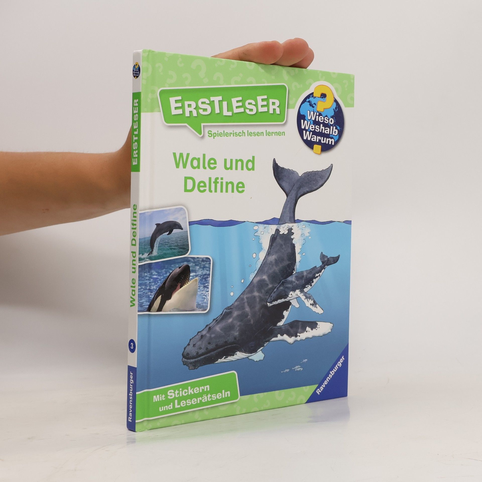 Sandra Noa Wieso? Weshalb? Warum? Erstleser: Wale und Delfine (Band 3)