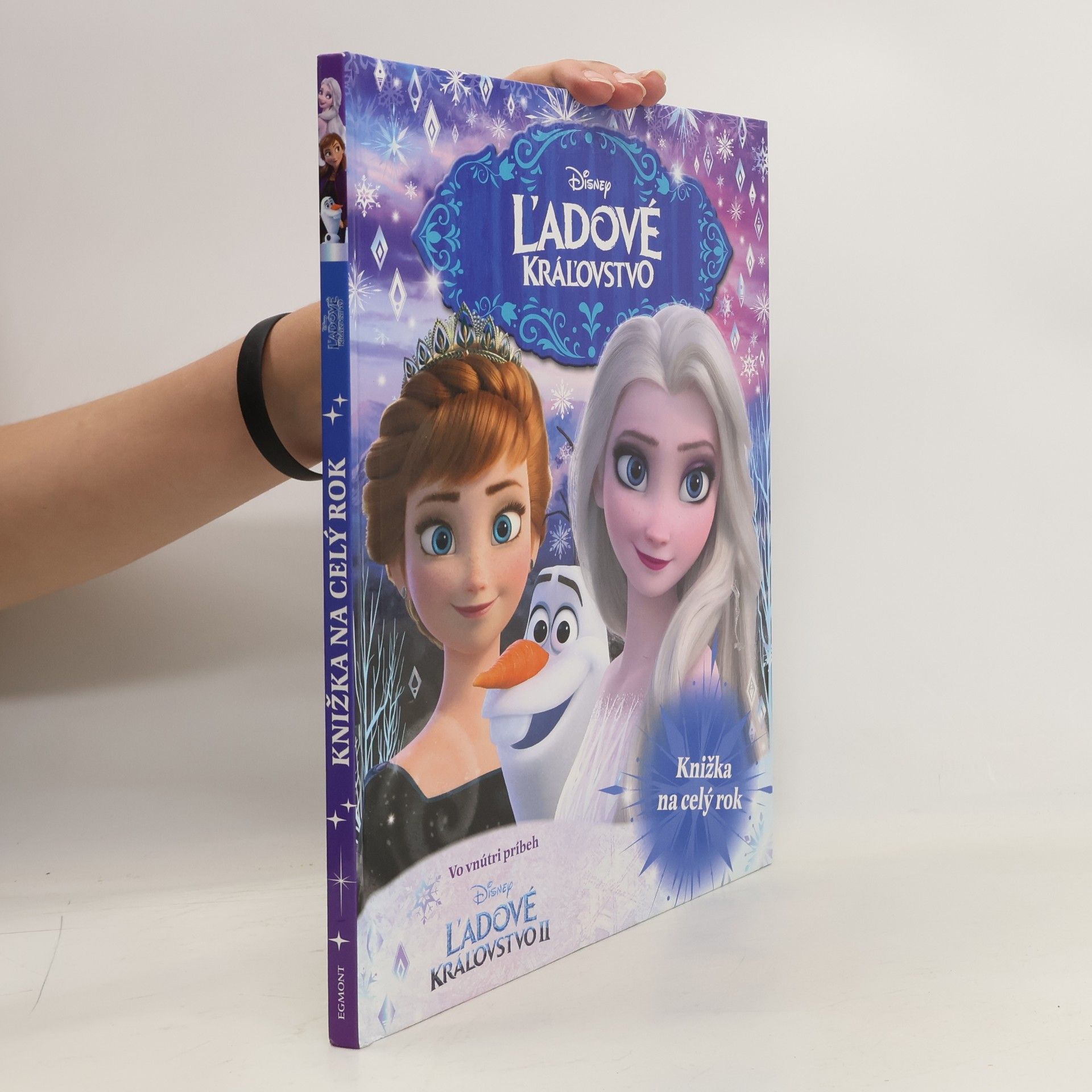 Collectif d'auteurs Ľadové kráľovstvo : knižka na celý rok