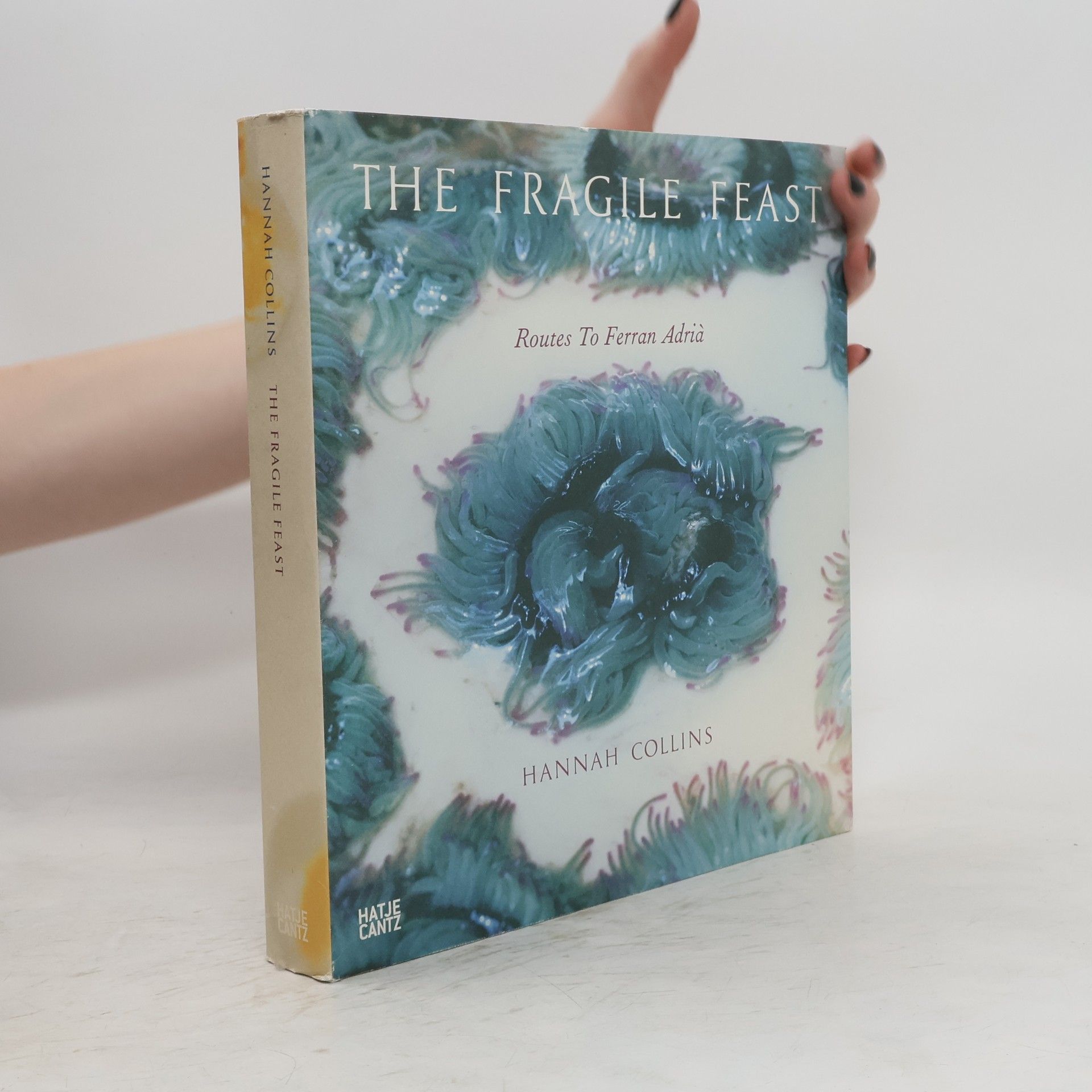 Hannah Collins The fragile feast