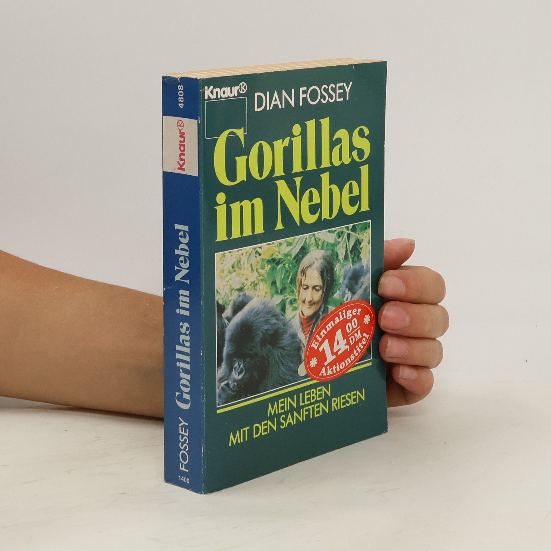 Dian Fossey Gorillas im Nebel