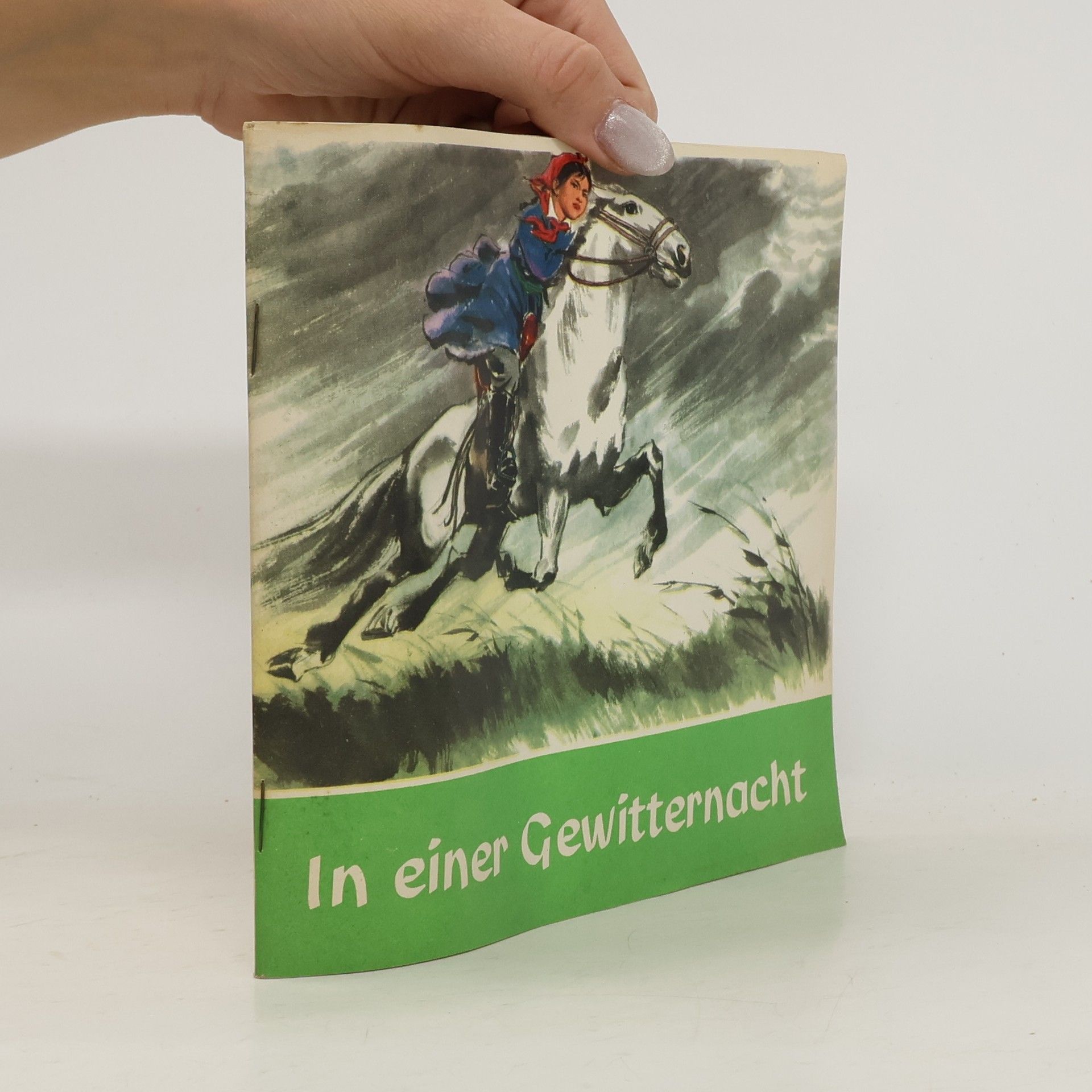 Collectif d'auteurs In einer Gewitternacht