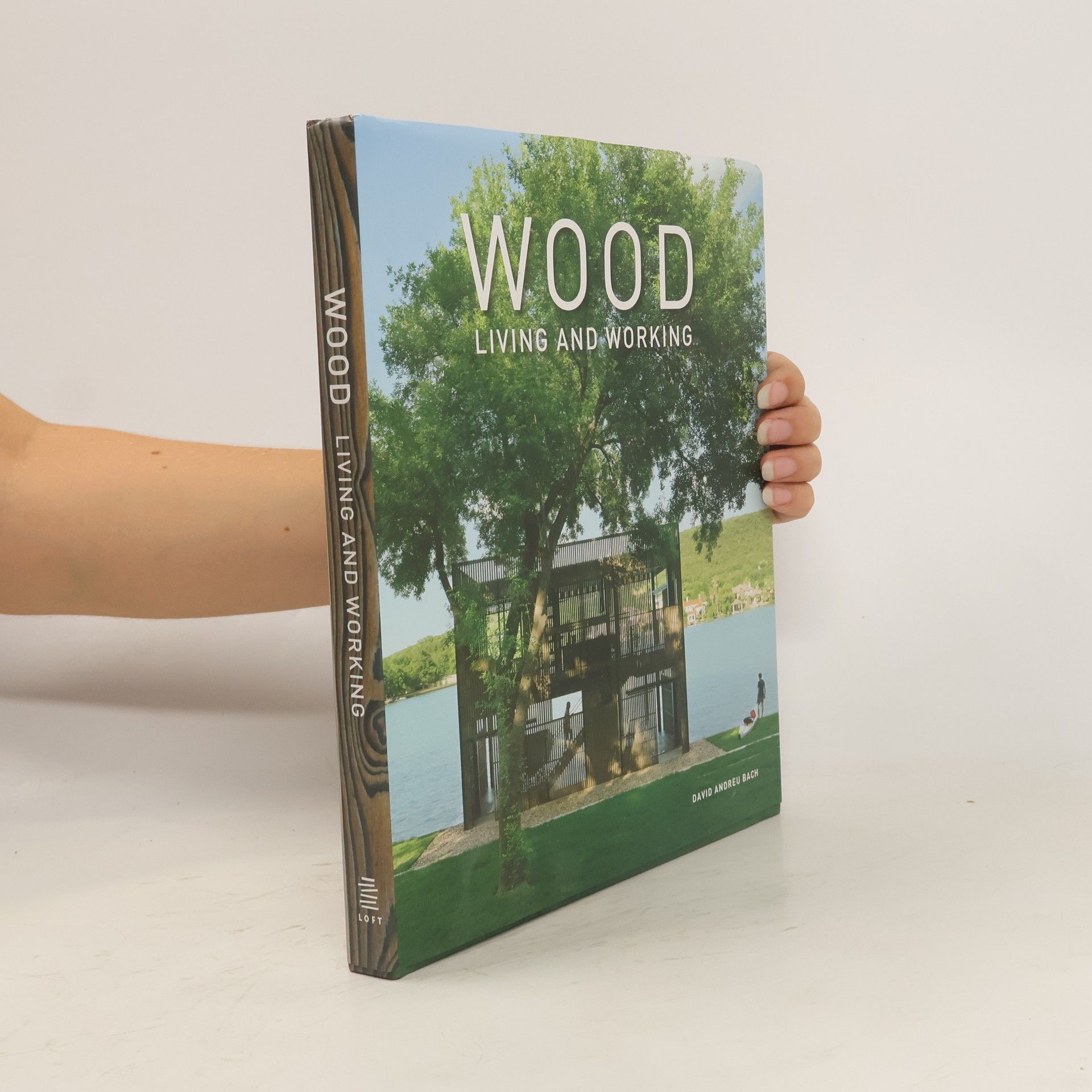 David Andreu Wood: Living and Working