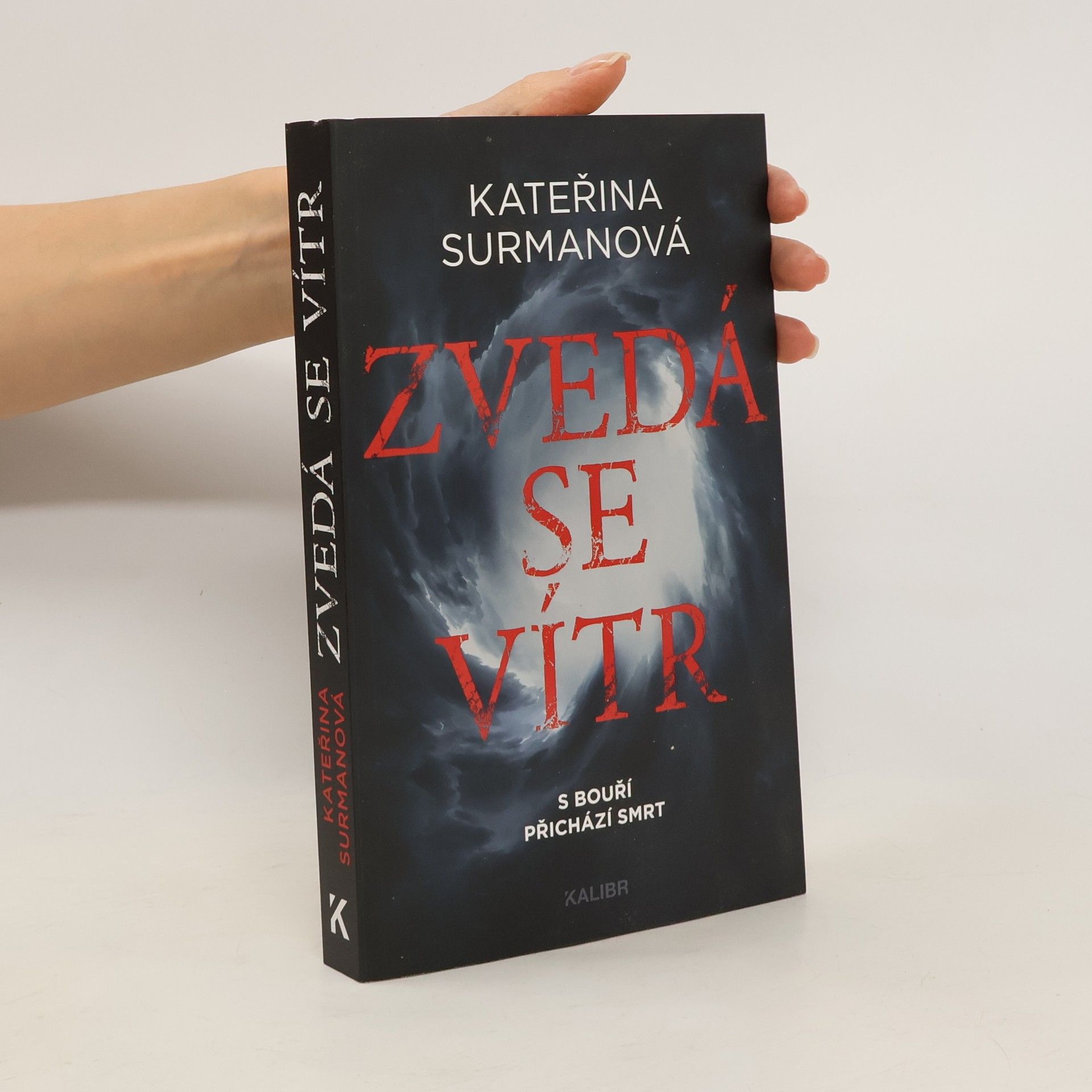 Kateřina Surmanová Zvedá se vítr