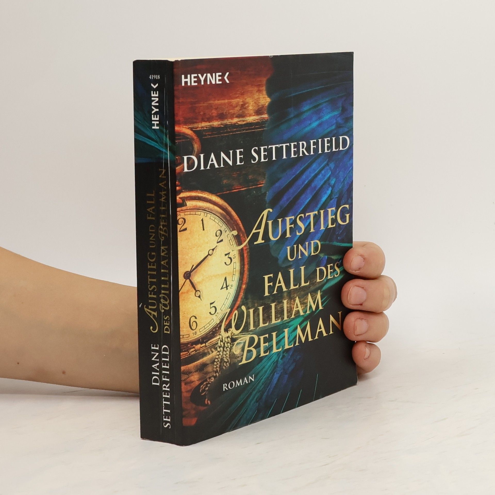 Diane Setterfield Aufstieg und Fall des William Bellman