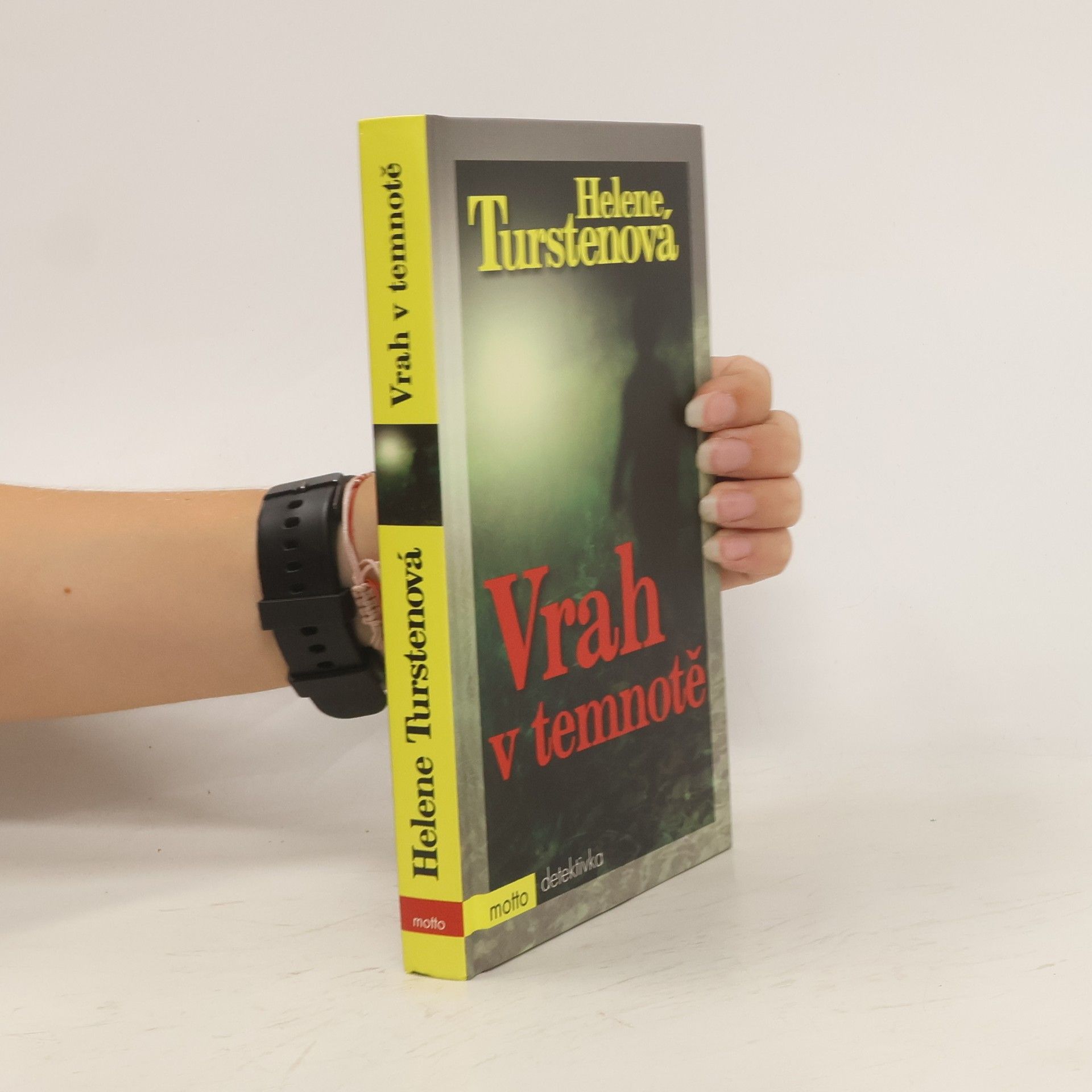 Helene Tursten Vrah v temnotě
