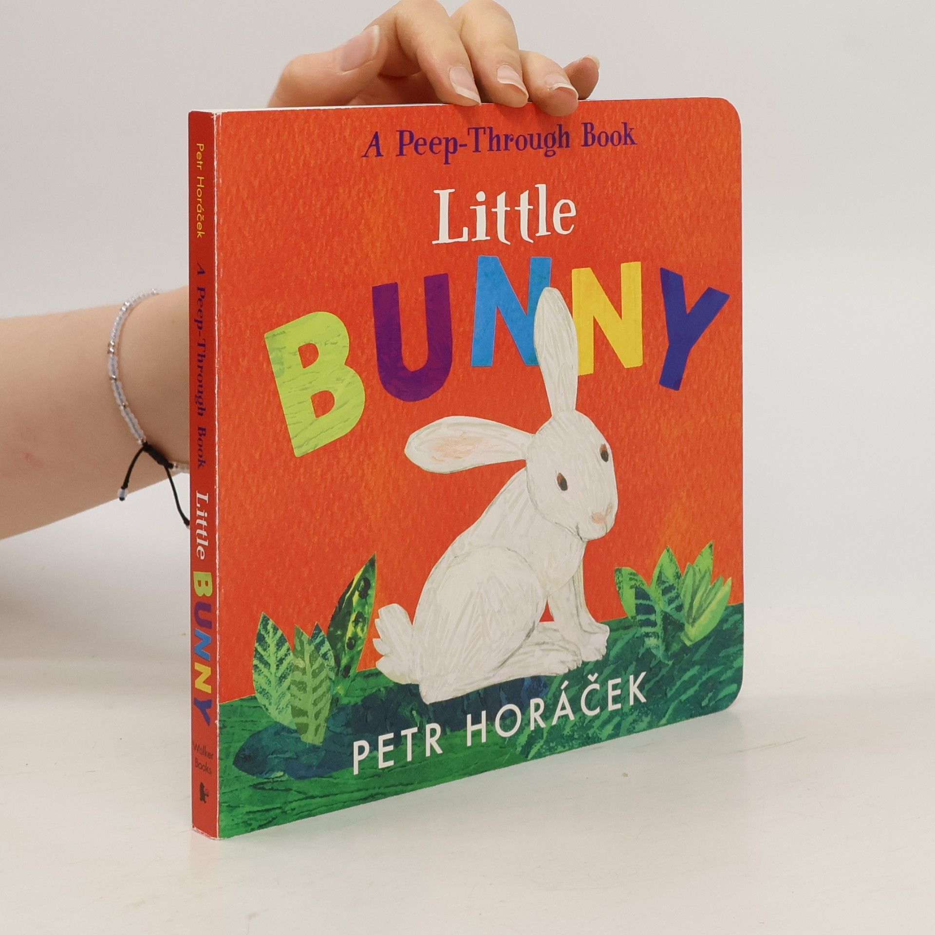 Petr Horáček Little Bunny
