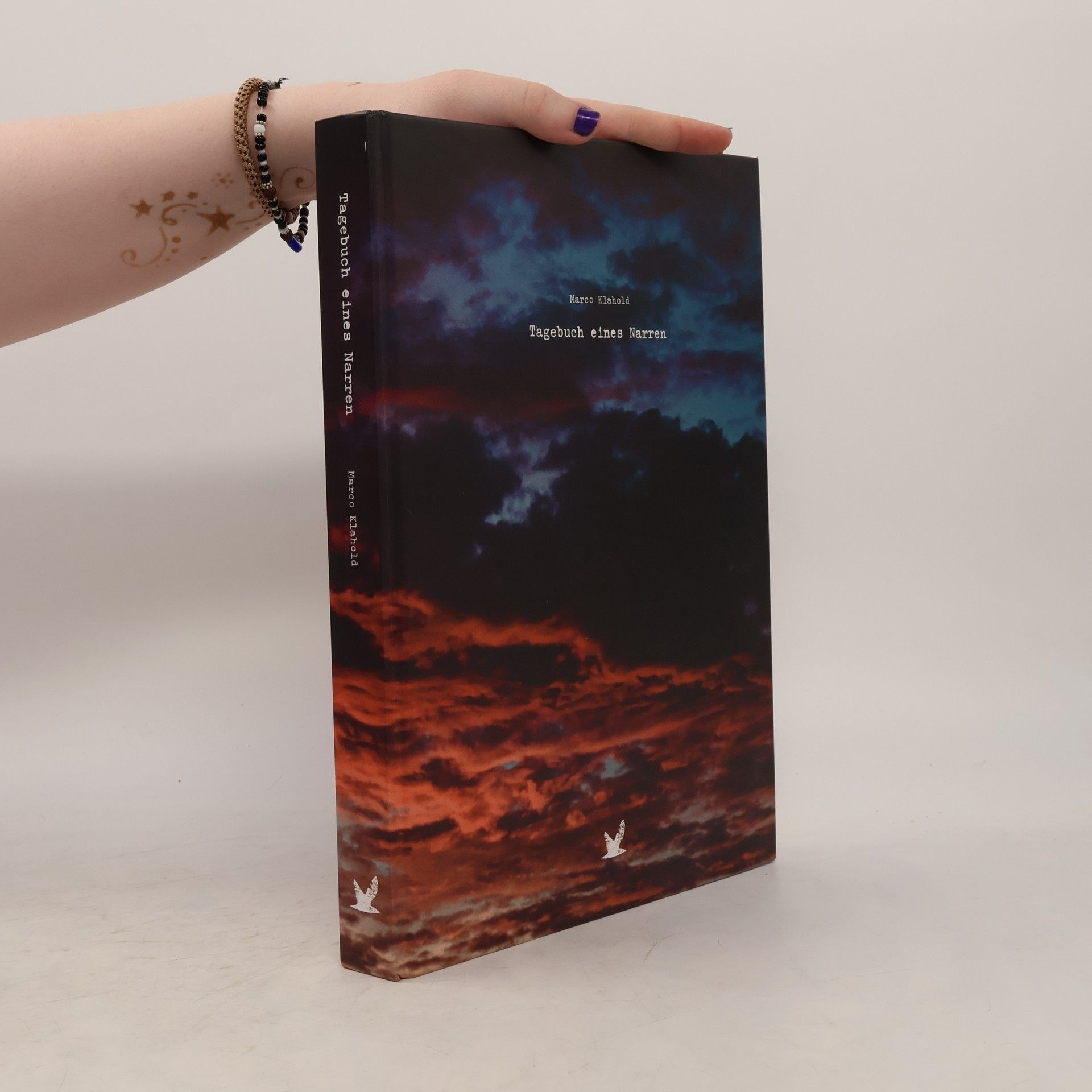 Marco Klahold Tagebuch eines Narren