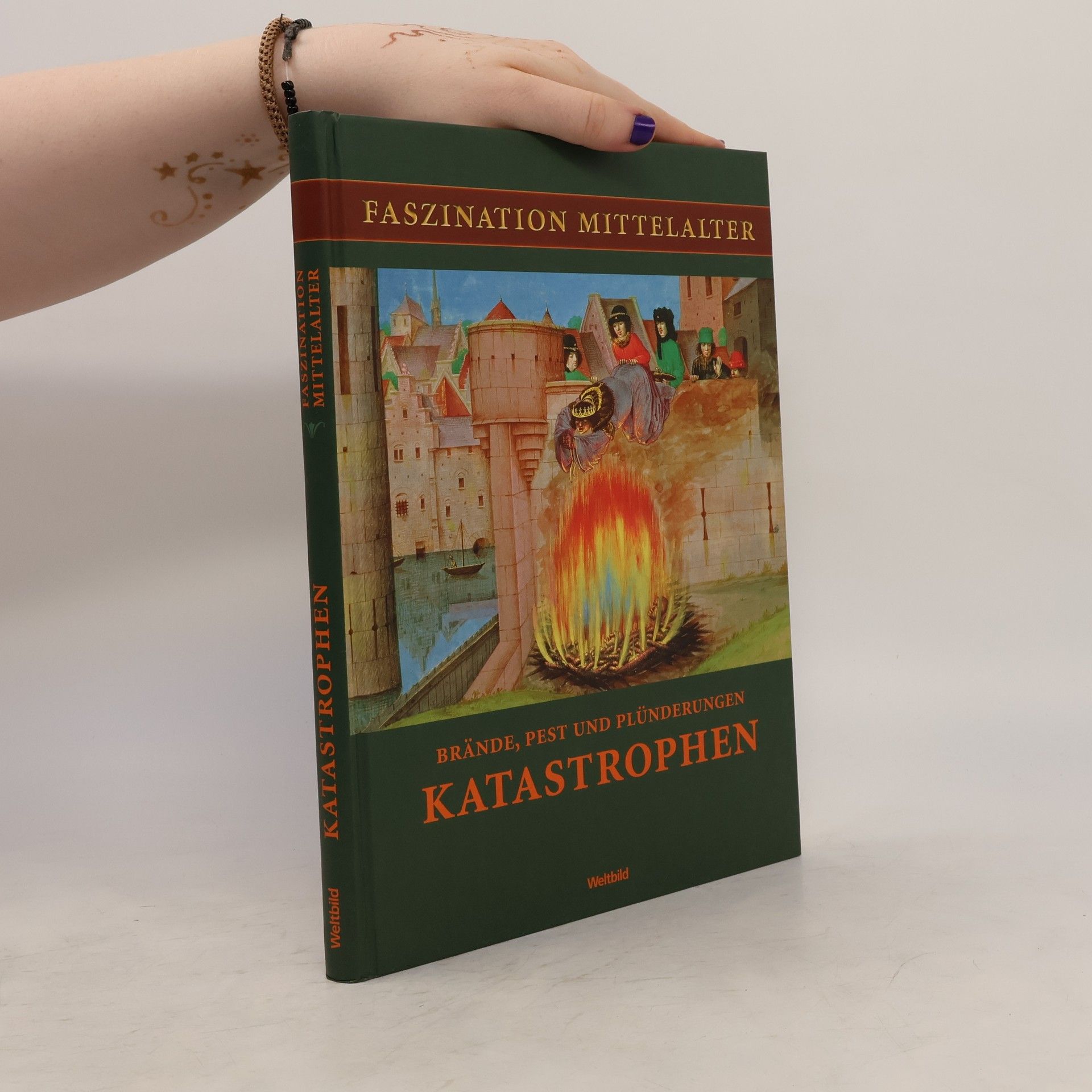 Autores varios Brande, Pest und Plünderungen Katastrophen