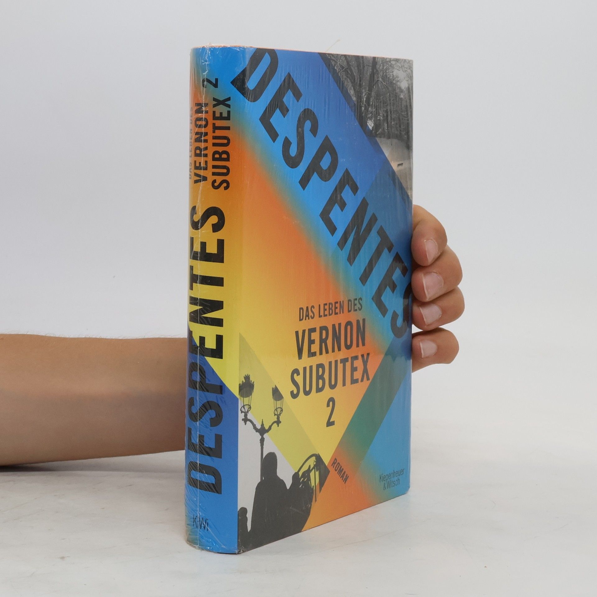 Virginie Despentes Das Leben des Vernon Subutex 2