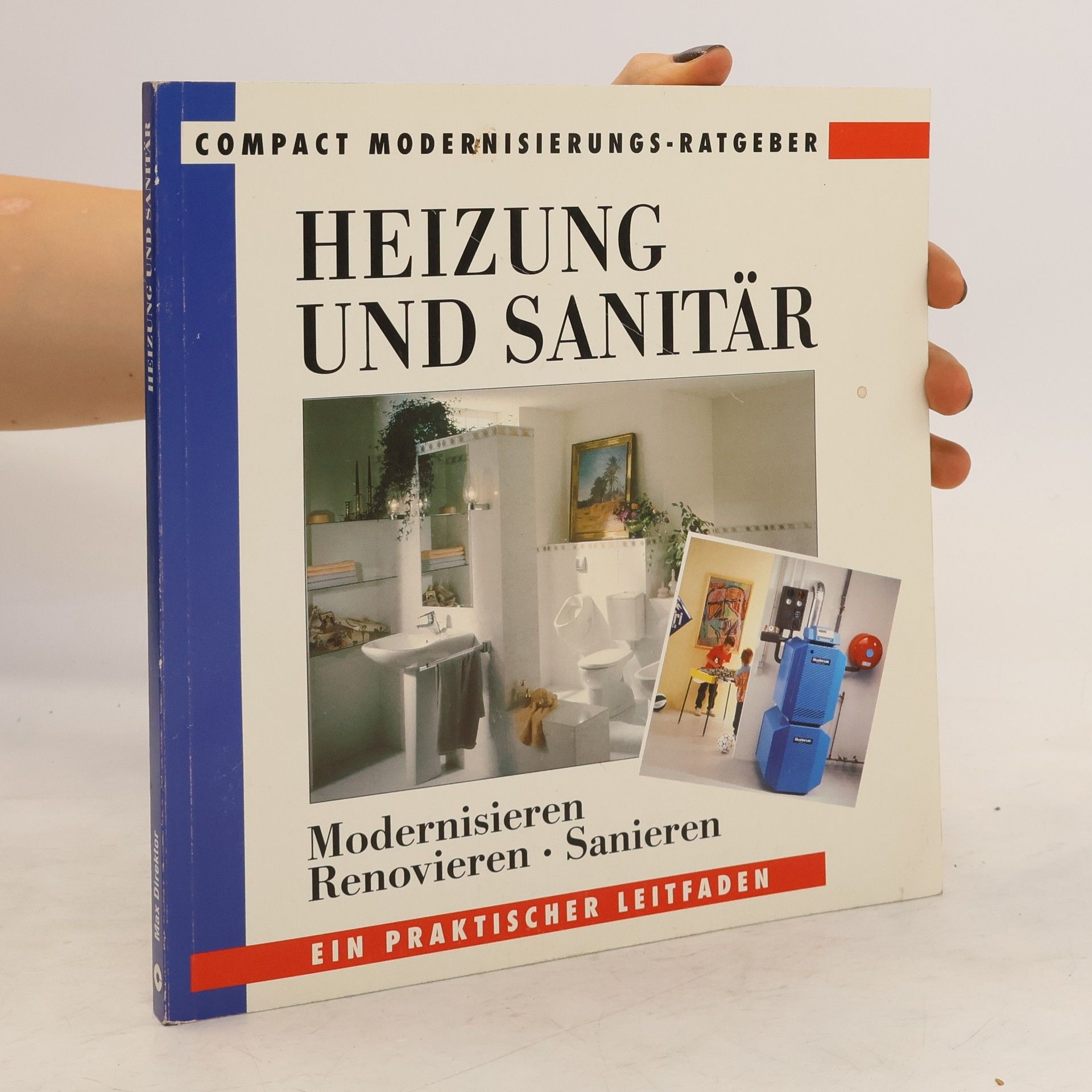 Max Direktor Heizung und Sanitär