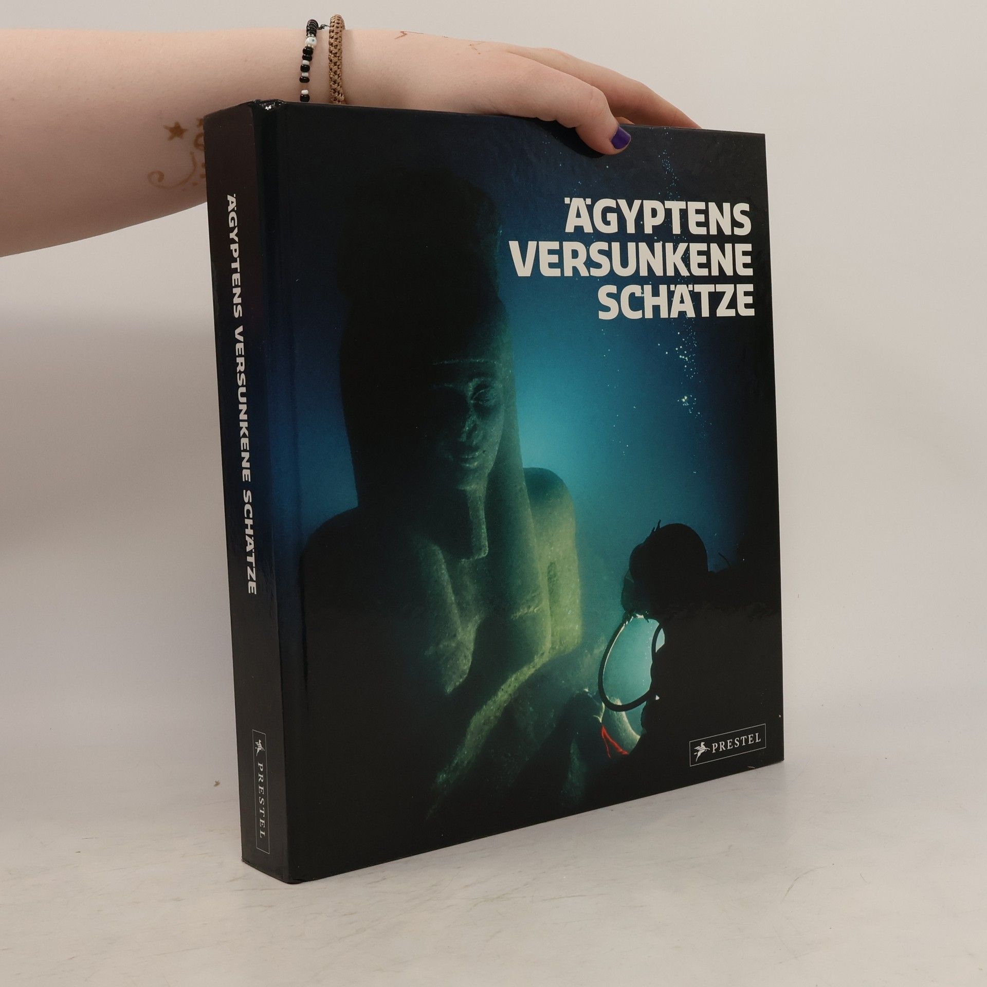 Franck Goddio Ägyptens versunkene Schätze