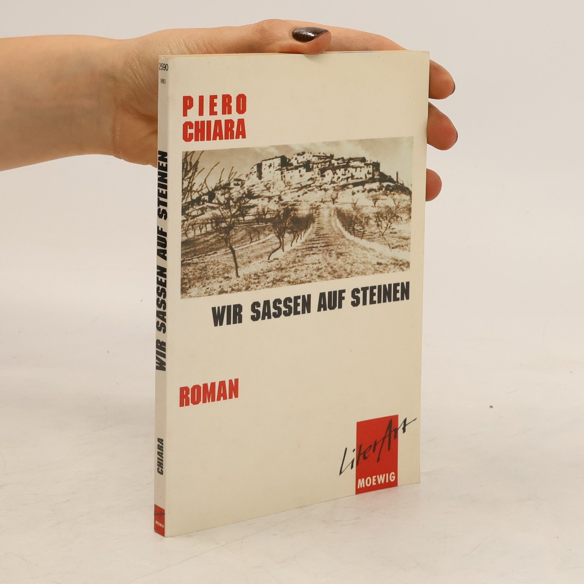 Piero Chiara Wir sassen auf Steinen