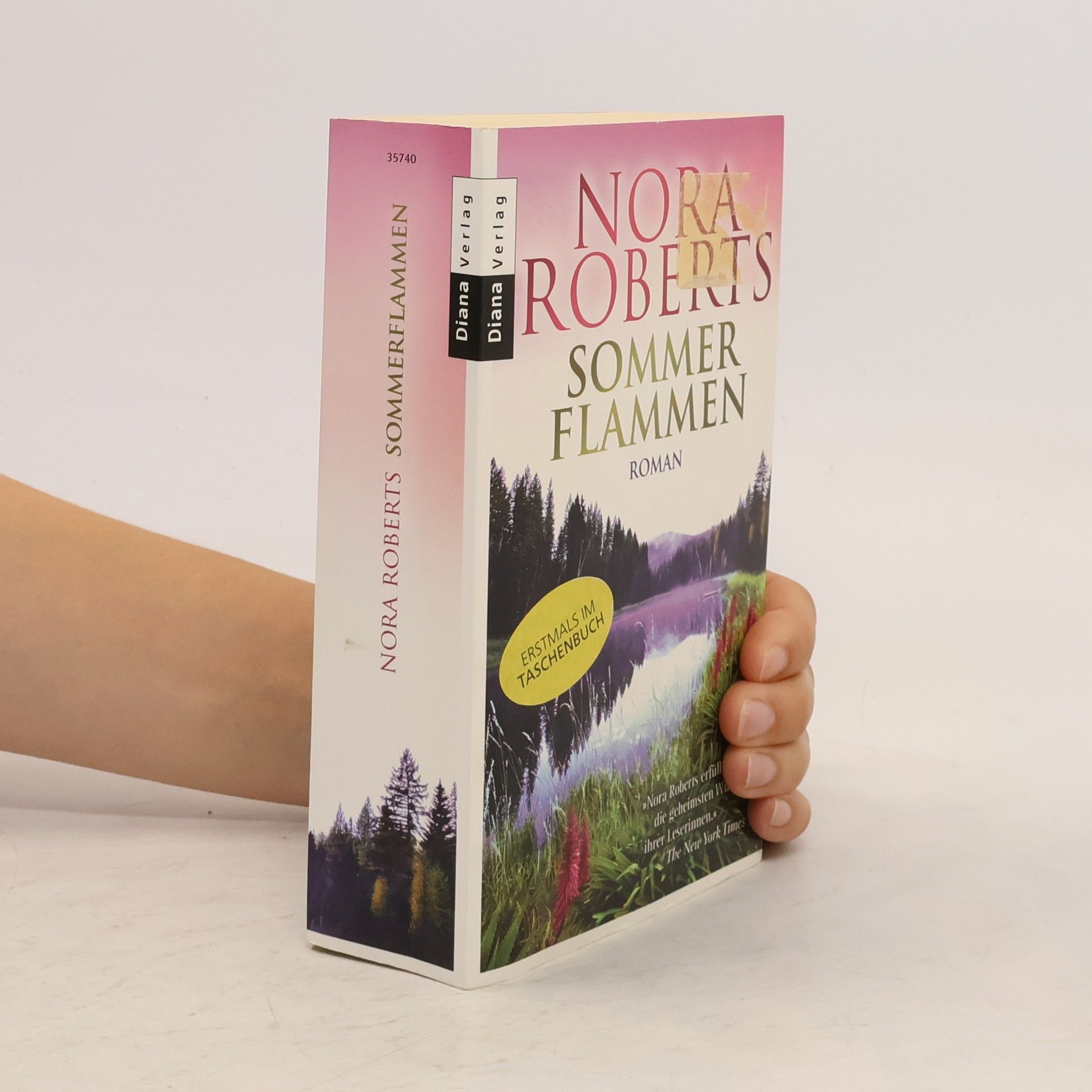 Nora Roberts Sommer Flammen