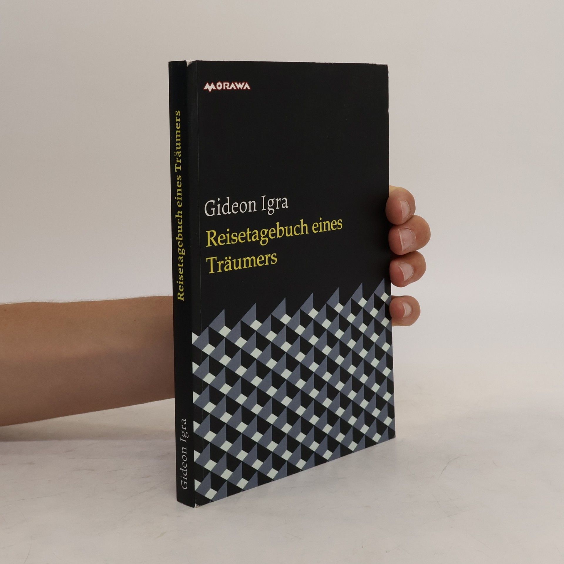 Gideon Igra Reisetagebuch eines Träumers