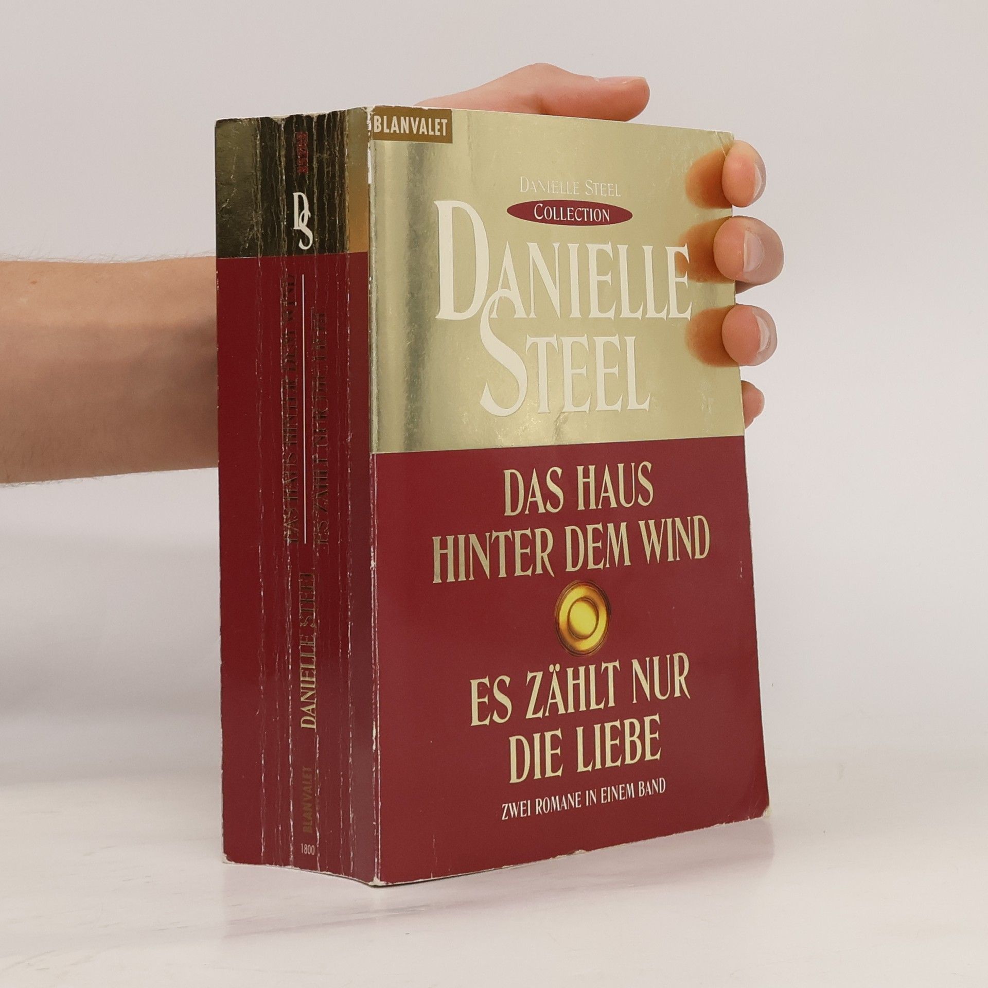 Danielle Steel Das Haus hinter dem Wind. Es Zählt nur die Liebe