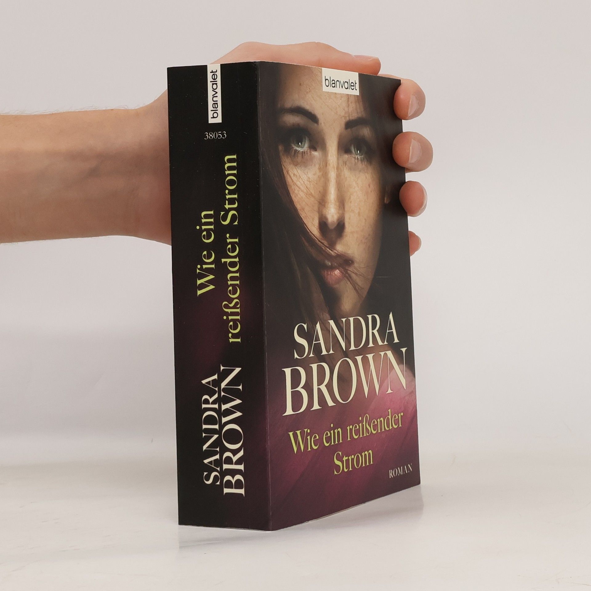 Sandra Brown Wie ein reißender Strom