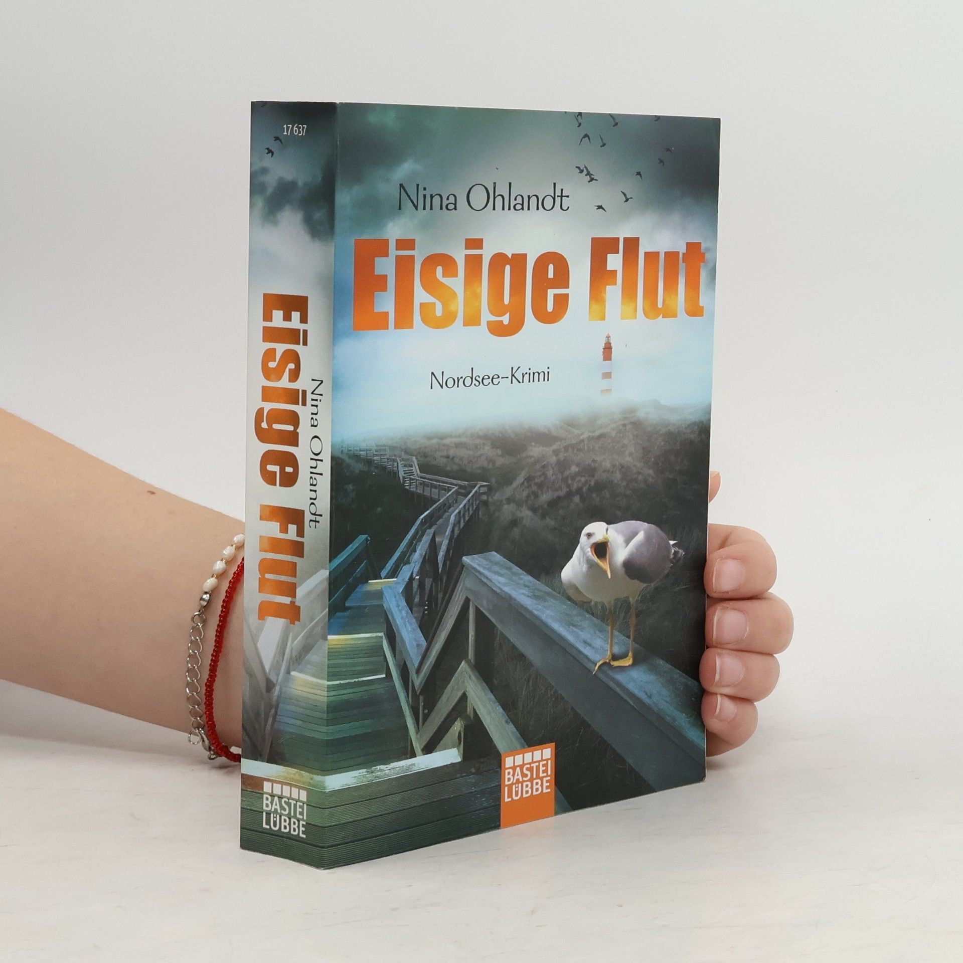 Nina Ohlandt Eisige Flut