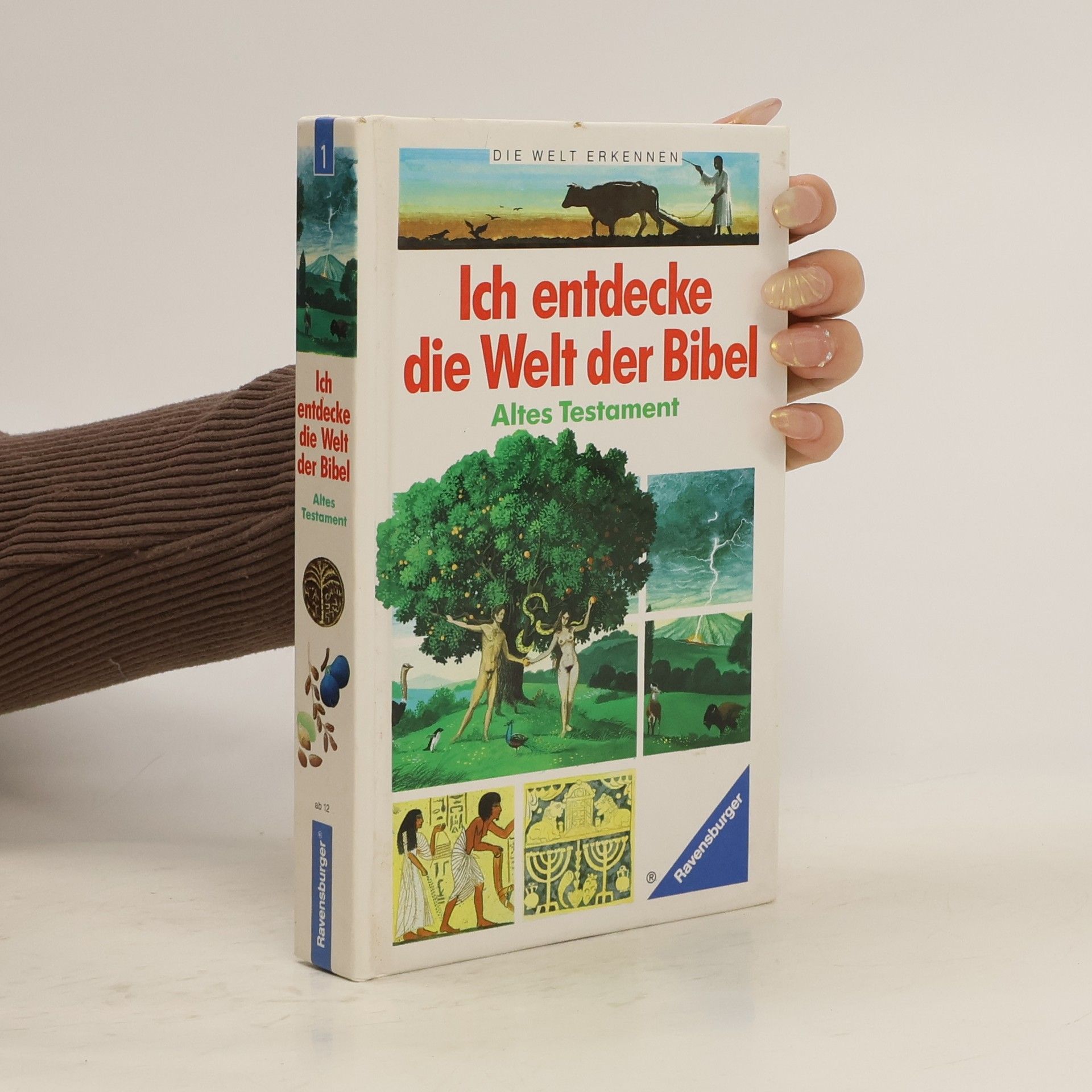 Collective Ich entdecke die Welt der Bibel