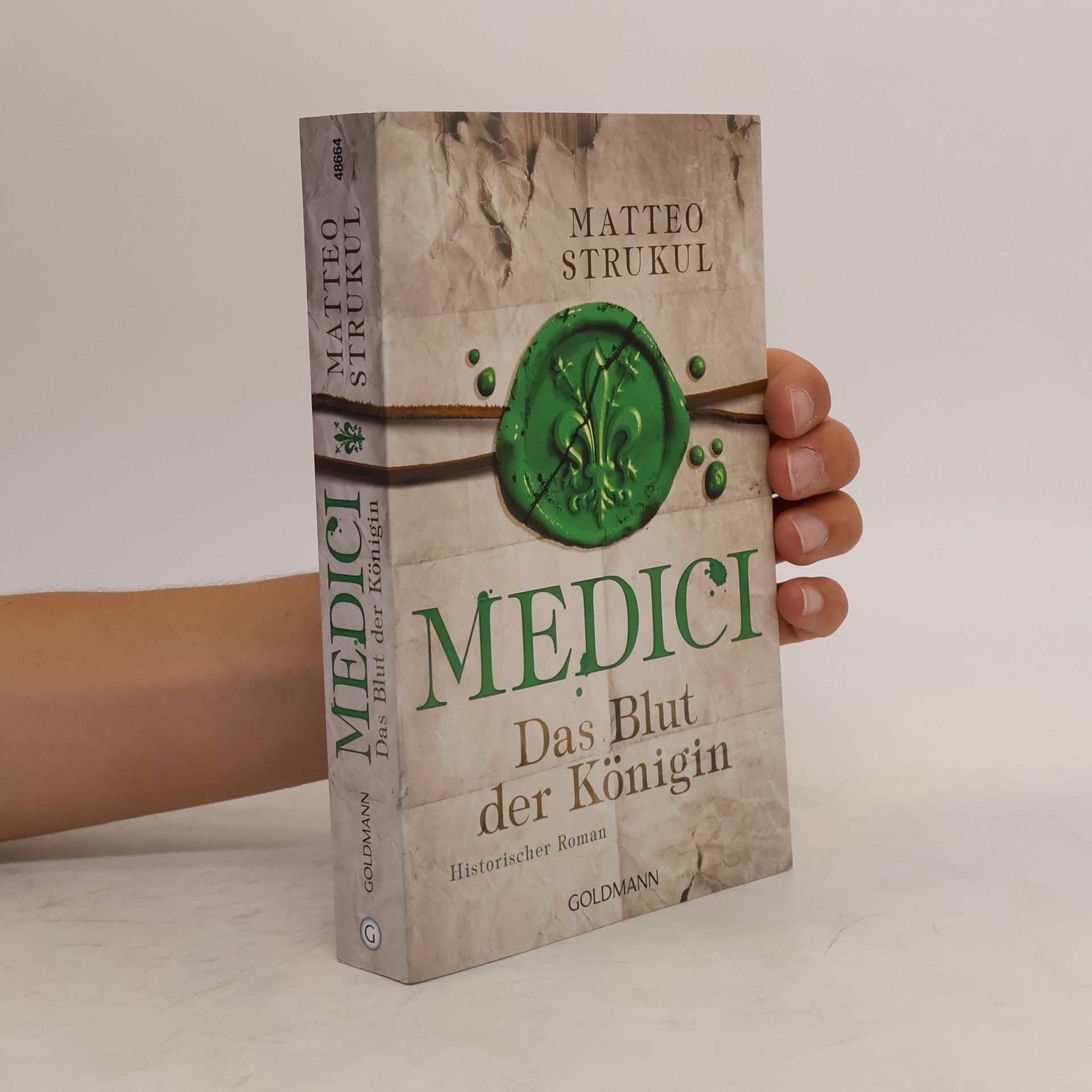 Matteo Strukul Medici. Das Blut der Königin