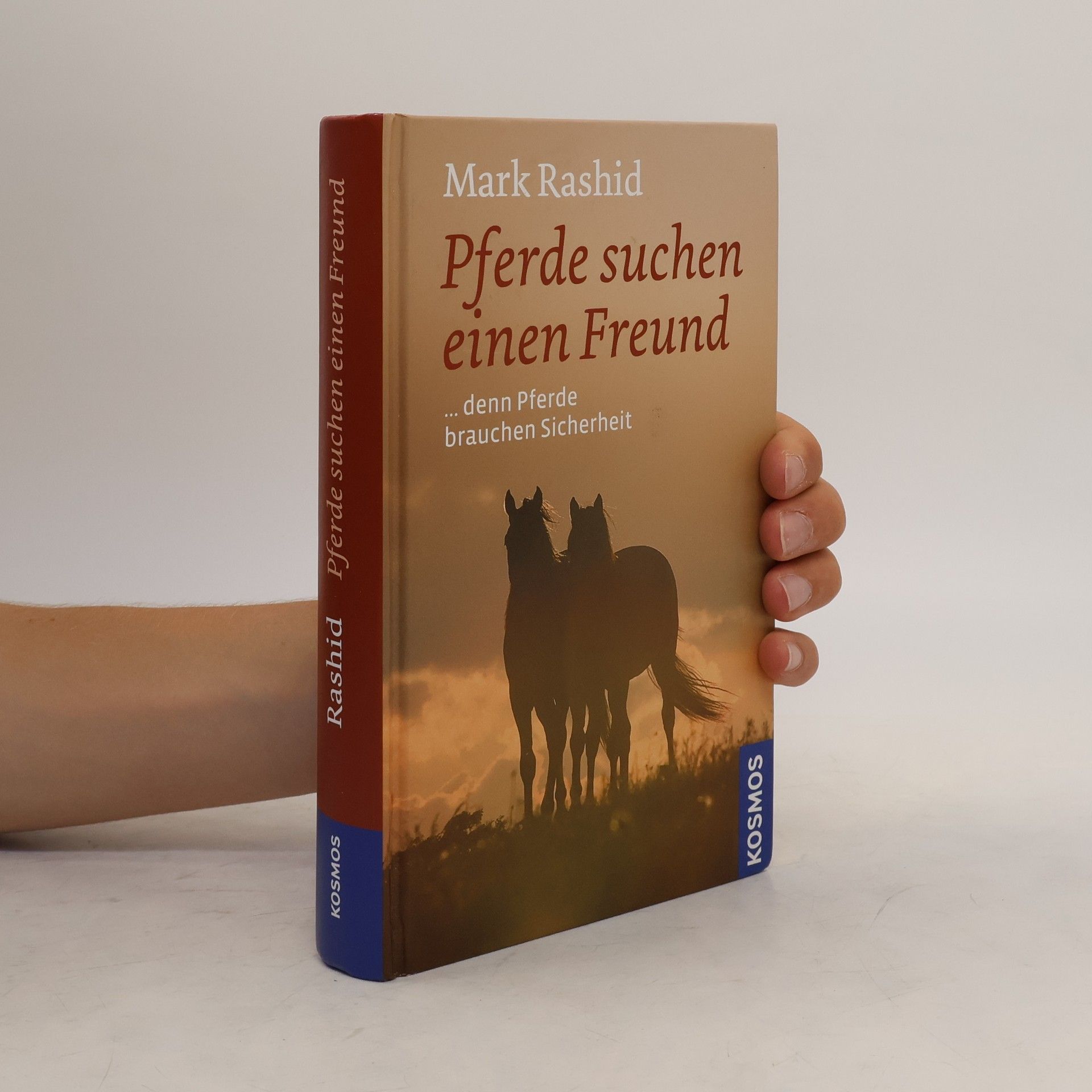 Mark Rashid Pferde suchen einen Freund