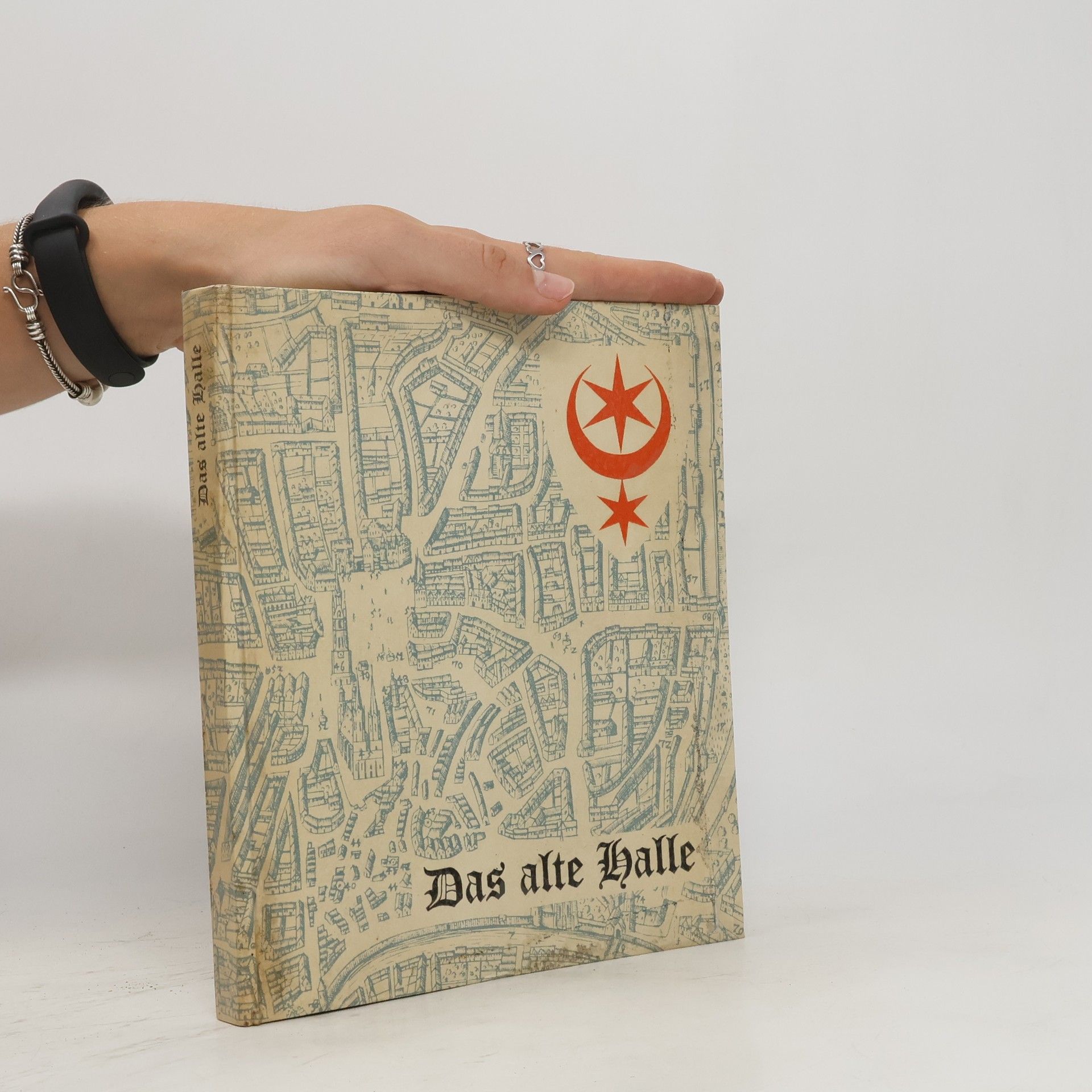 Siegmar von Baron Schultze-Gallera Das alte Halle