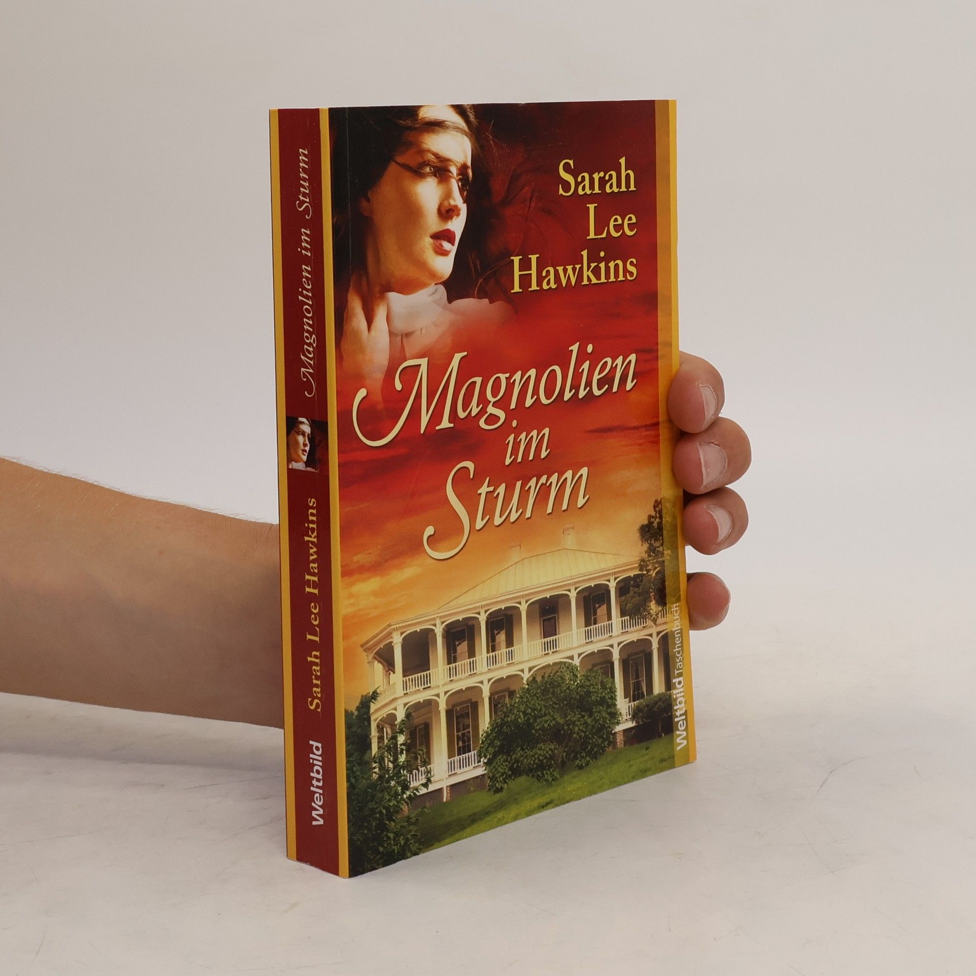 Sarah Lee Hawkins Magnolien im Sturm