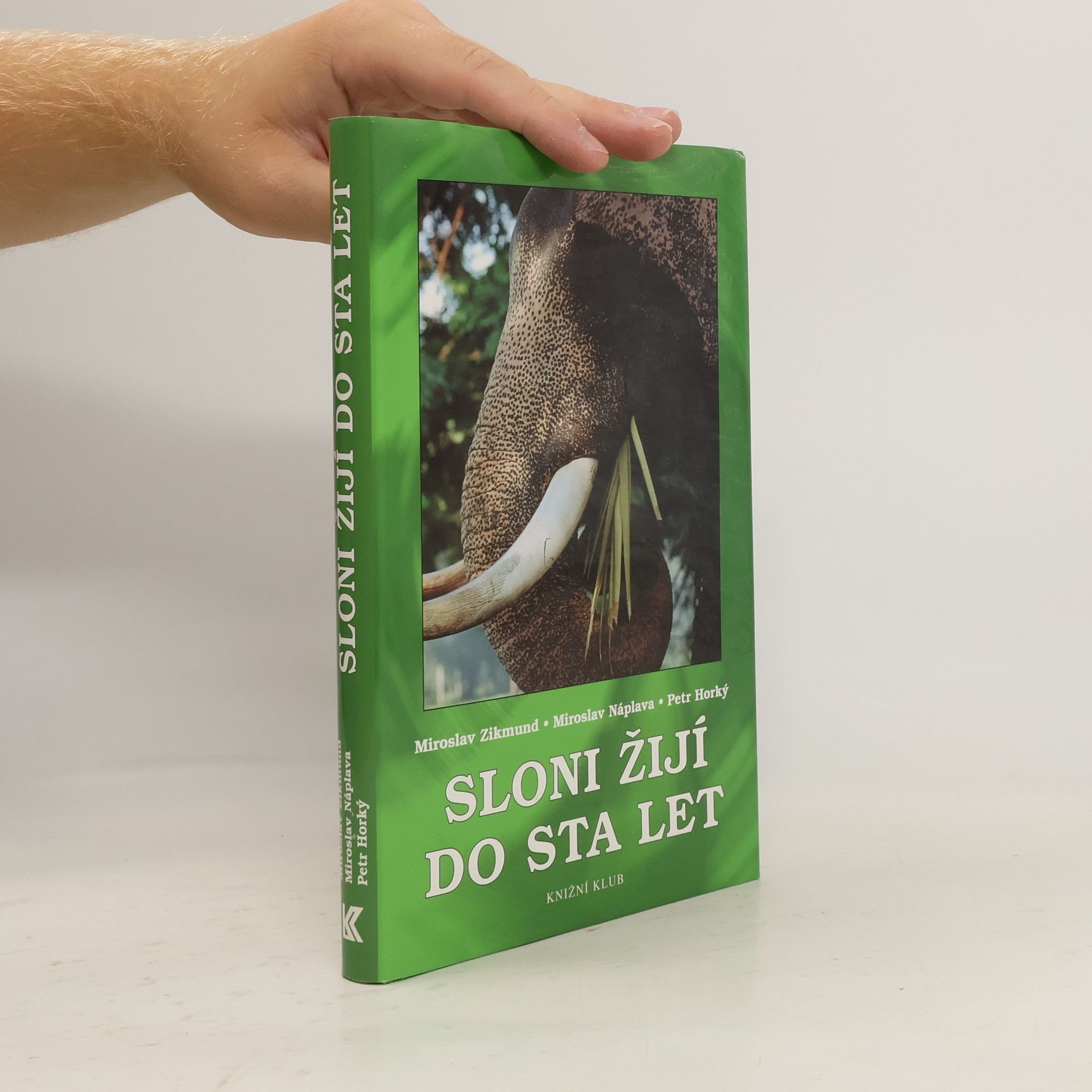 Sloni žijí do sta let